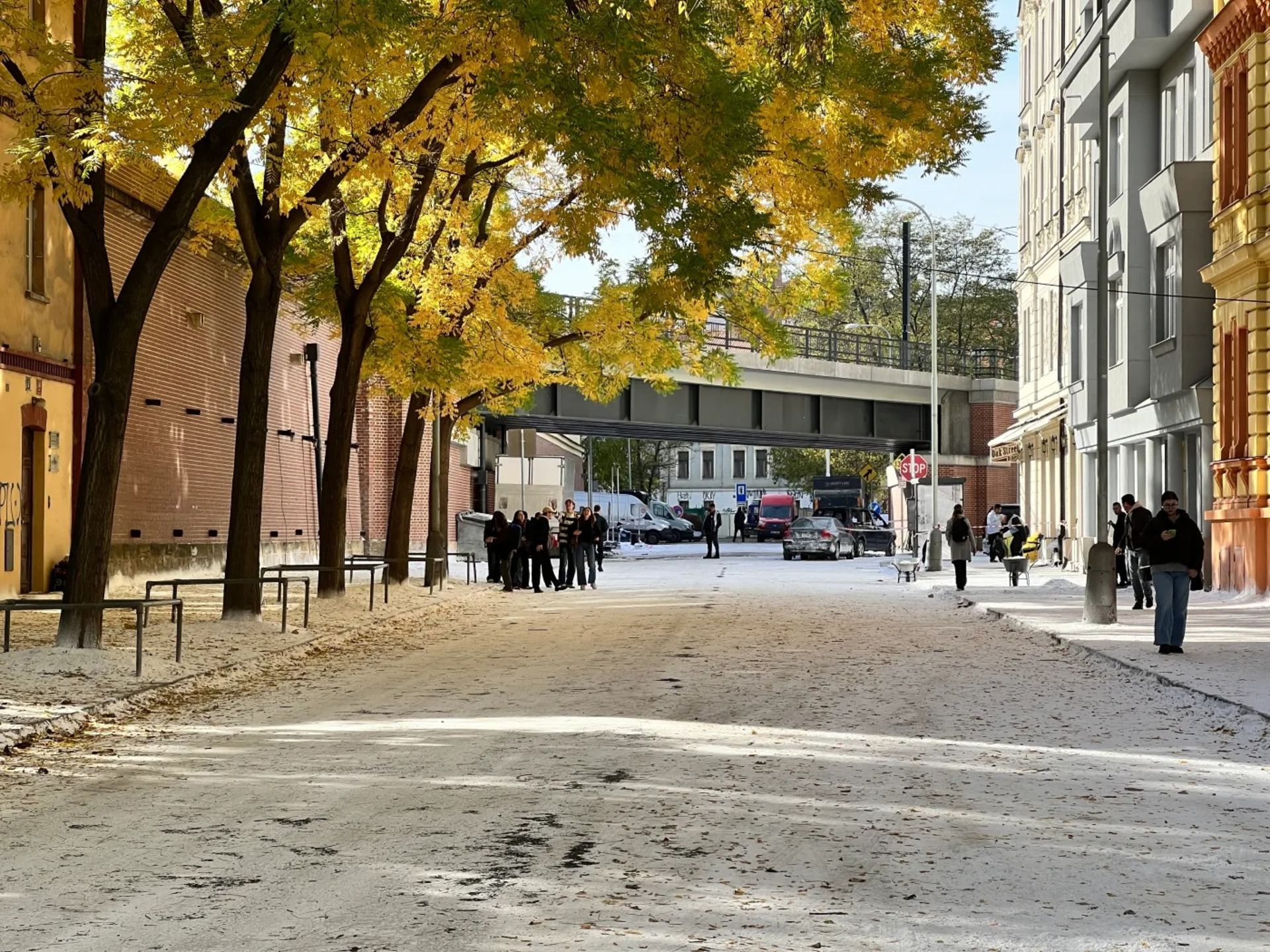 نمایی از یک خیابان در پاییز