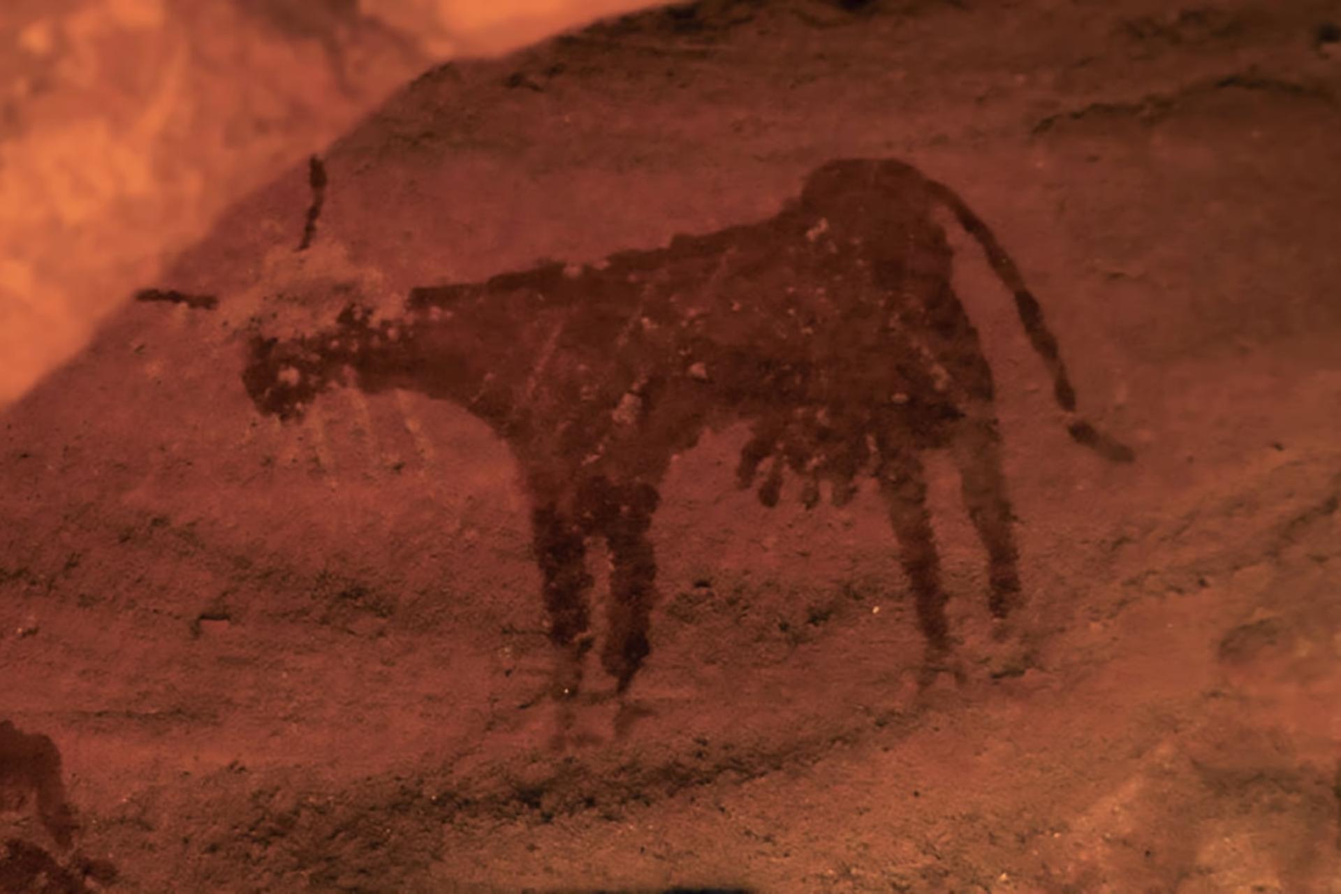 صحرای بزرگ آفریقا چهارهزار سال پیش چهره‌ای بسیار متفاوت داشت