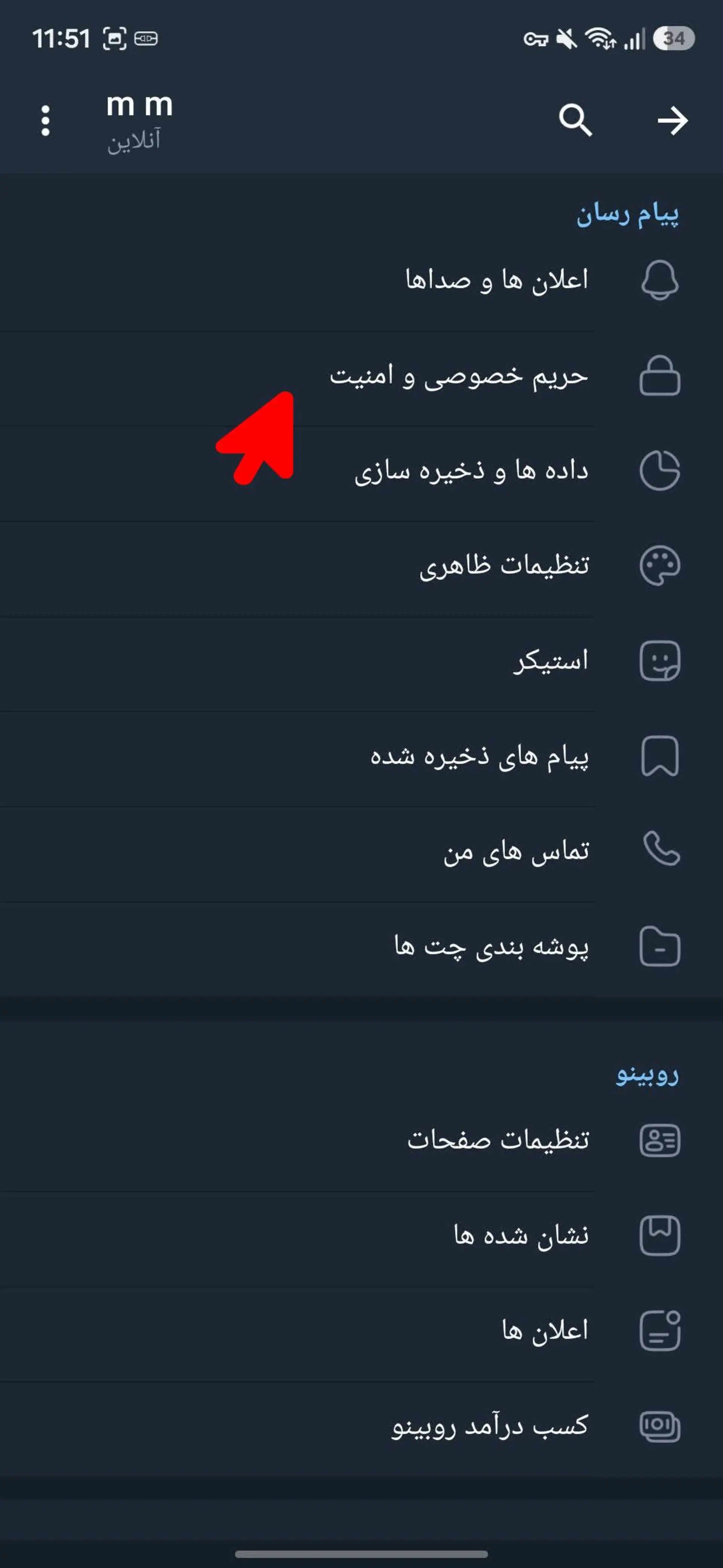 دیلیت اکانت روبیکا، صفحه تنظیمات