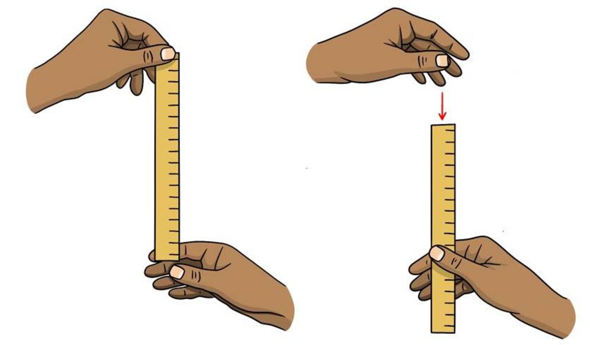 آزمایش رها کردن خط کش 