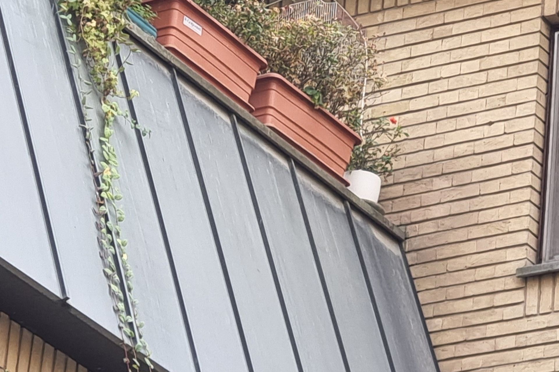 کراپ عکس دوربین تله‌فوتوی S21 FE