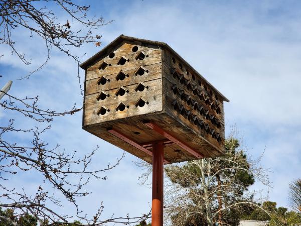 عکس دوربین ۳ برابری گلکسی اس ۲۲ اولترا