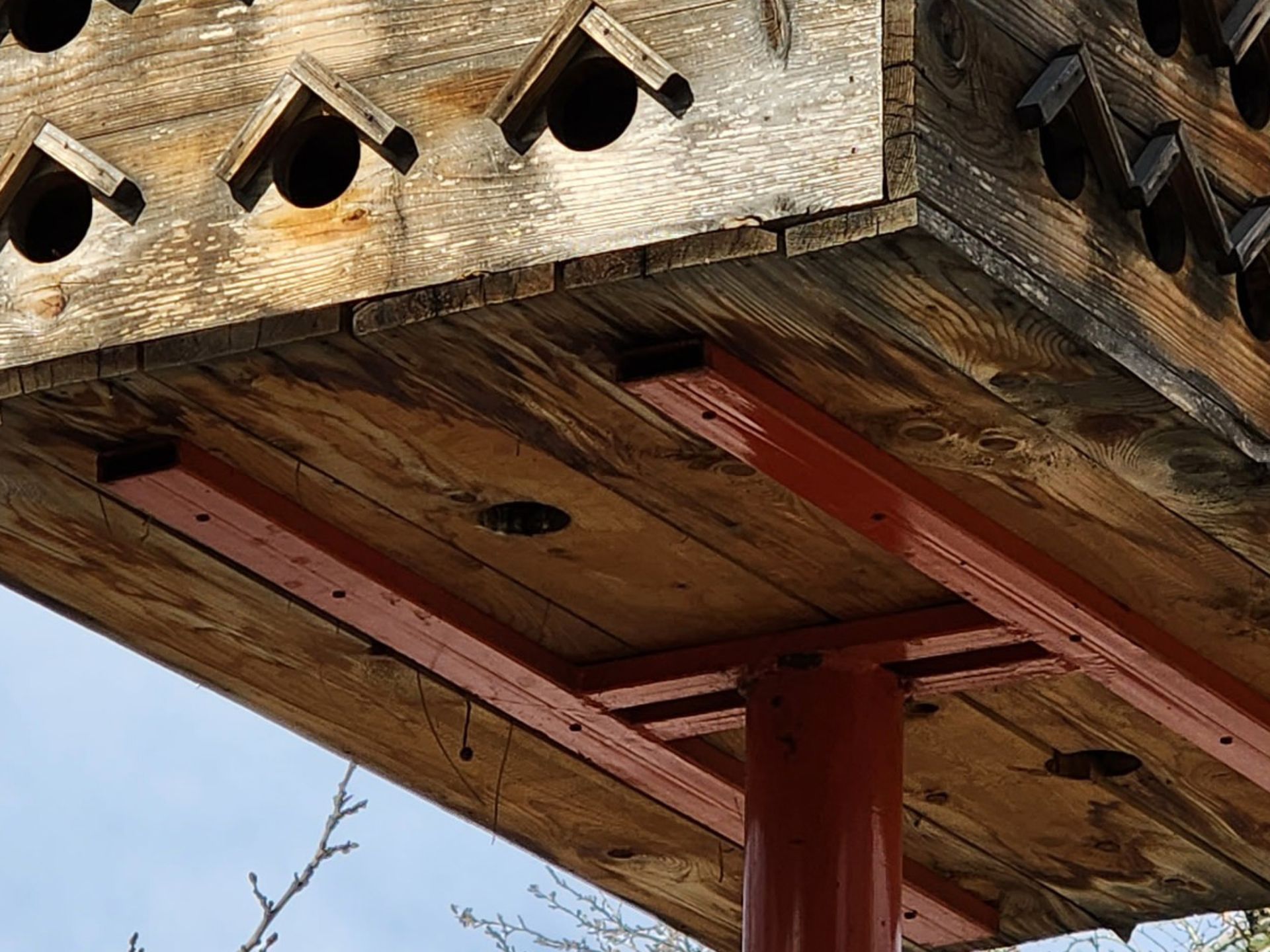 برش عکس ۳ برابری گلکسی اس ۲۲ اولترا