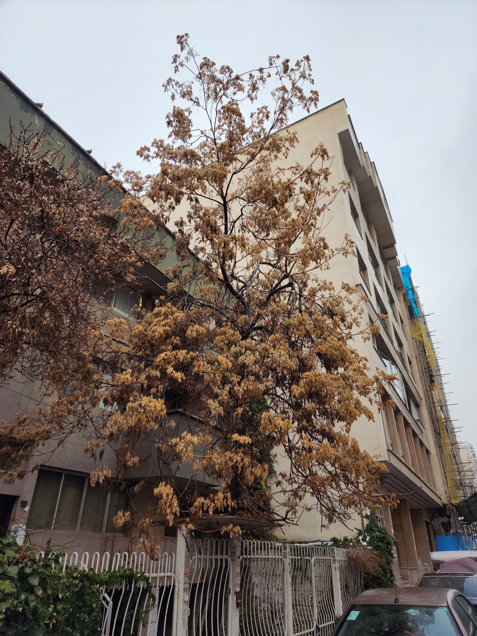 عکس ۱۰۸ مگاپیکسلی گلکسی اس ۲۲ اولترا در مقیاس ۱۲ مگاپیکسل