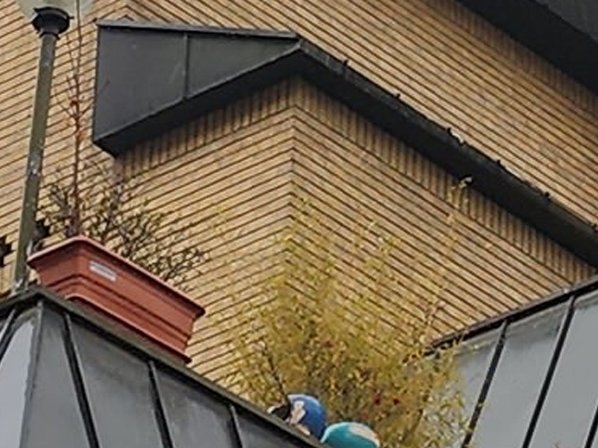 کراپ عکس دوربین اصلی گلکسی اس ۲۲ ‍۱