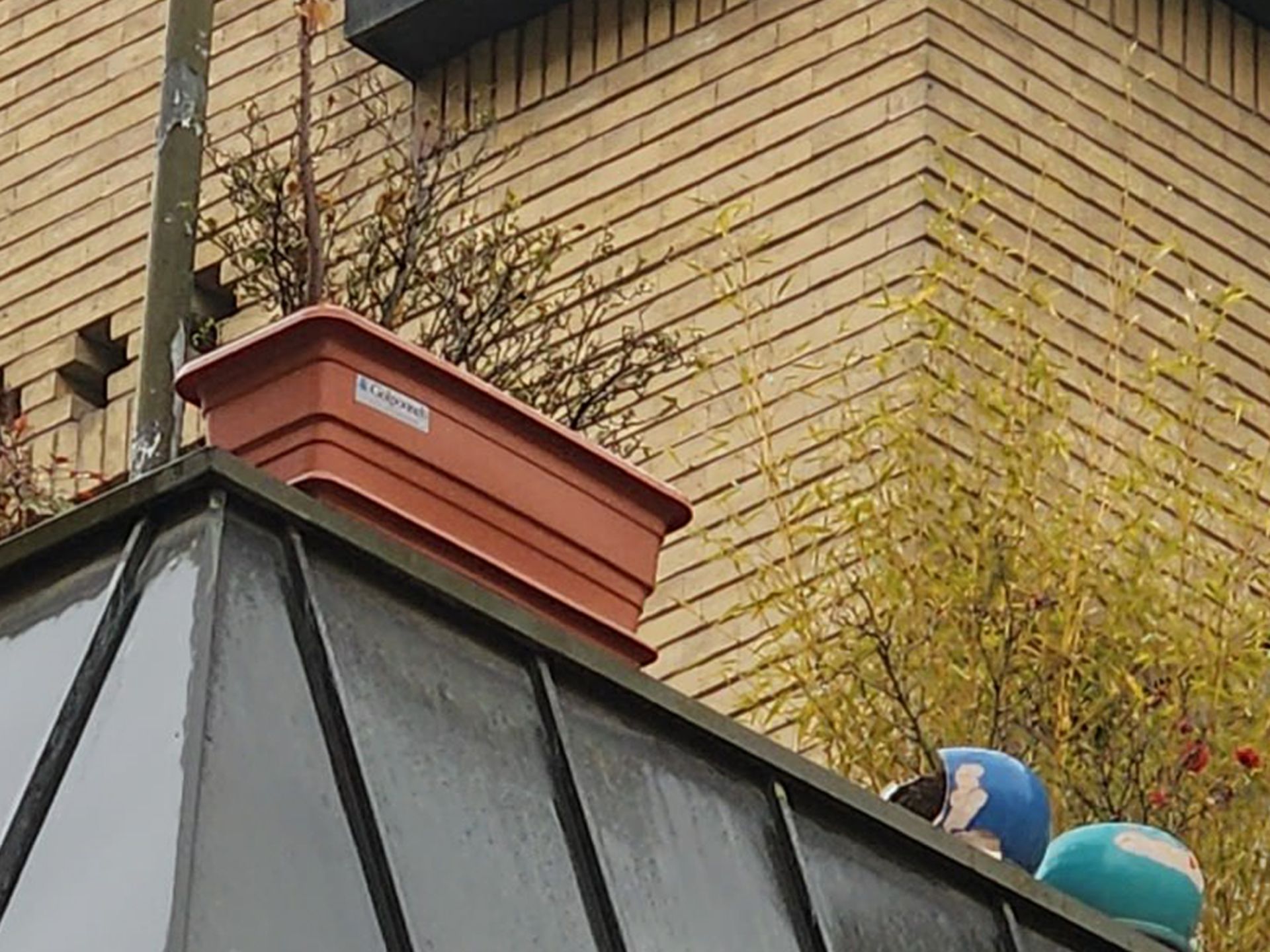 برش عکس تله‌فوتوی گلکسی اس ۲۲ اولترا ۱