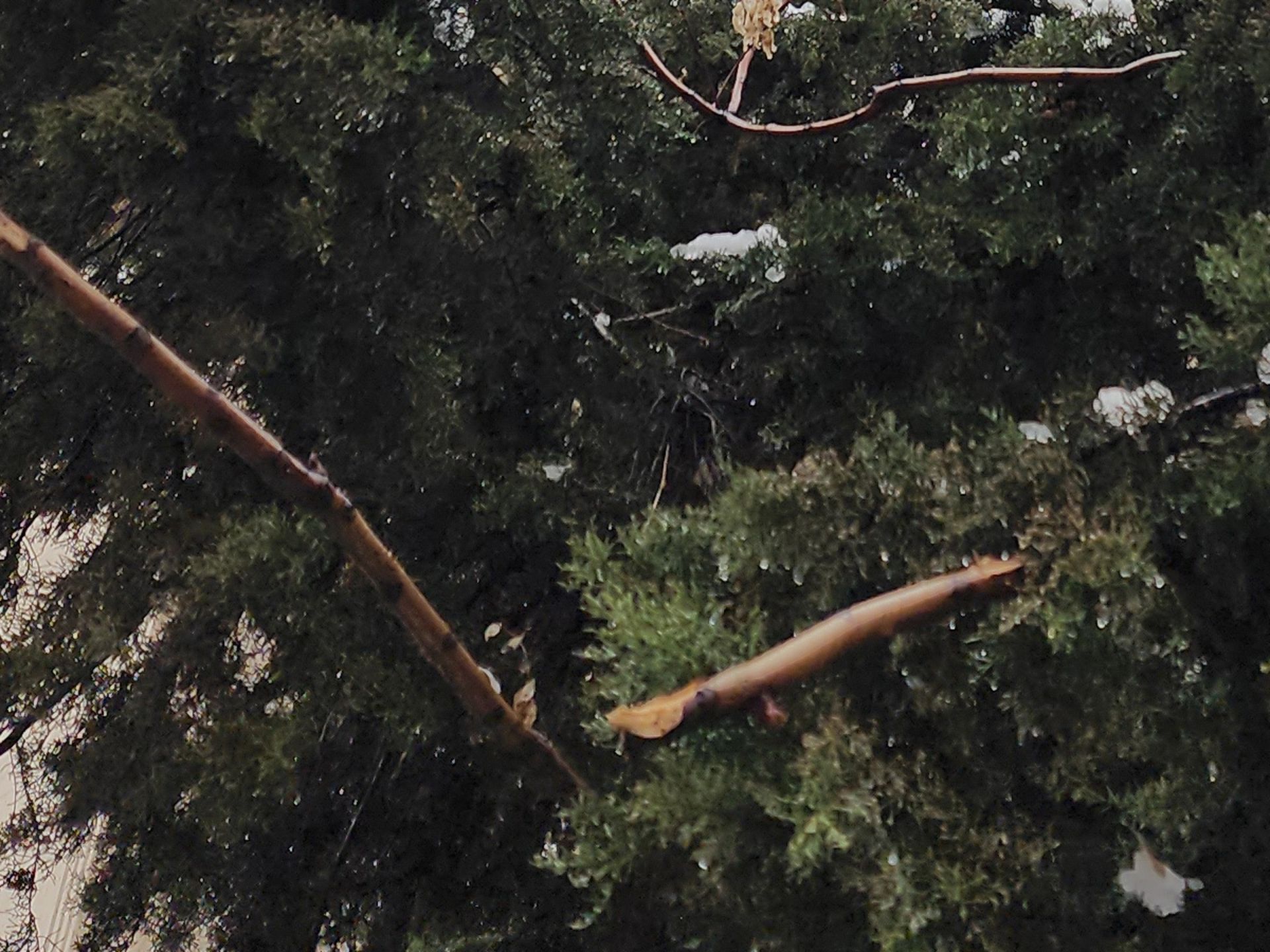 برش عکس اچ دی آر گلکسی اس ۲۲ اولترا