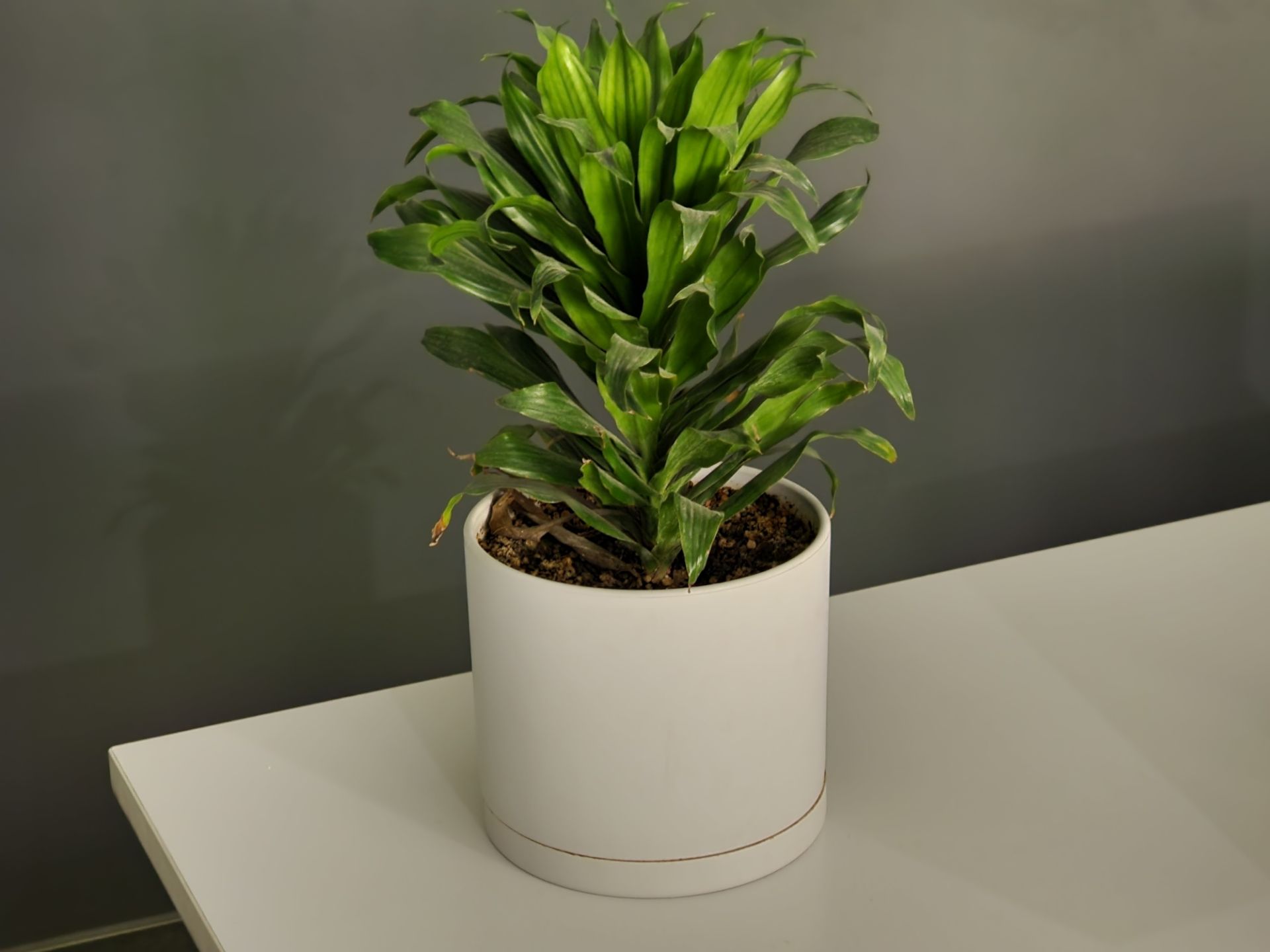 عکس ۳ برابری گلکسی اس ۲۲ اولترا در تاریکی ۳