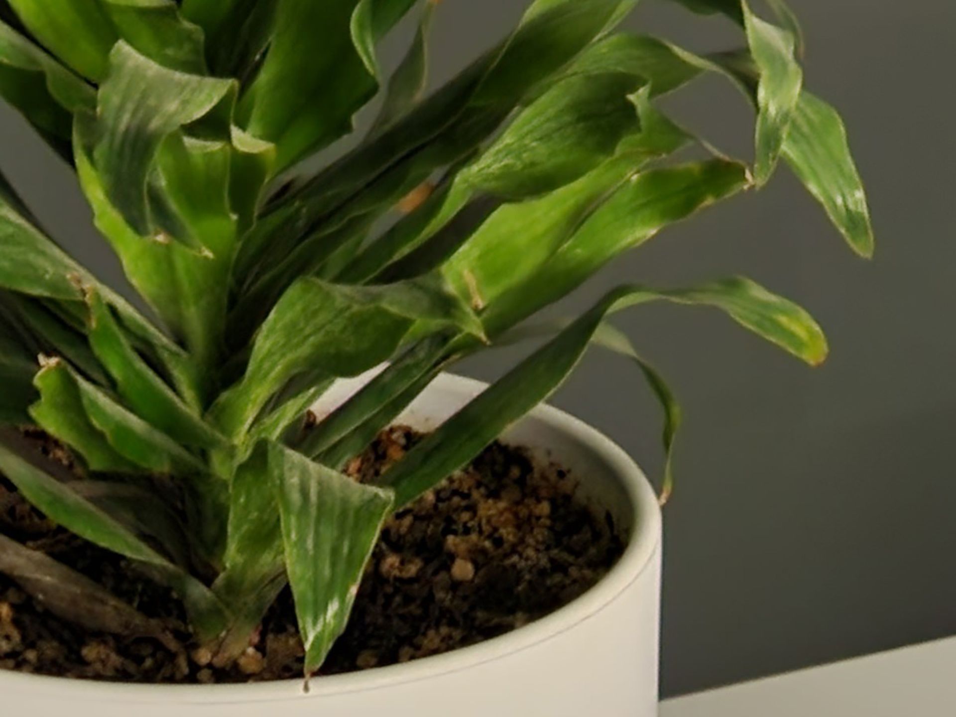 برش عکس ۳ برابری گلکسی اس ۲۲ اولترا در تاریکی ۳