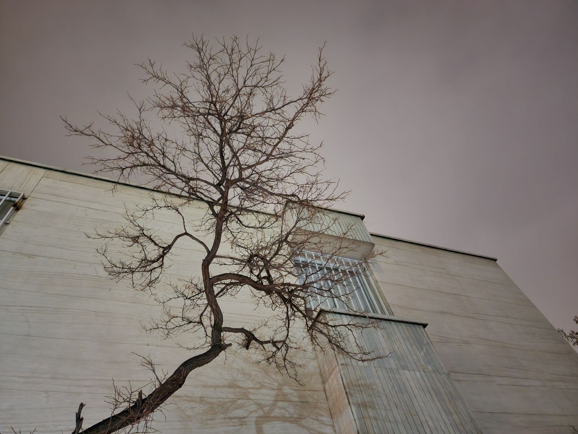 عکس دوربین اصلی گلکسی اس ۲۲ اولترا در تاریکی ۲