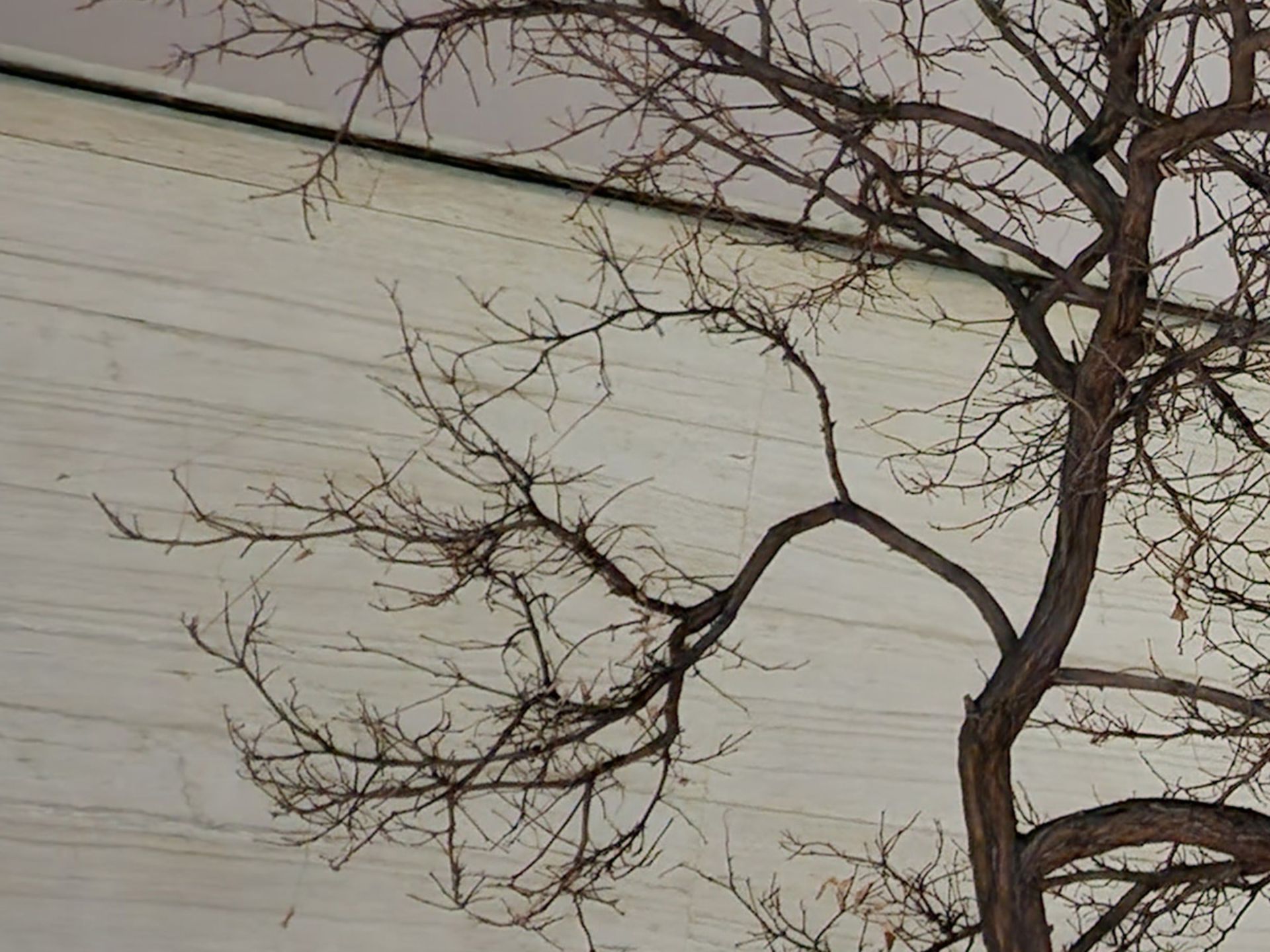 برش عکس گلکسی اس ۲۲ اولترا در تاریکی ۲