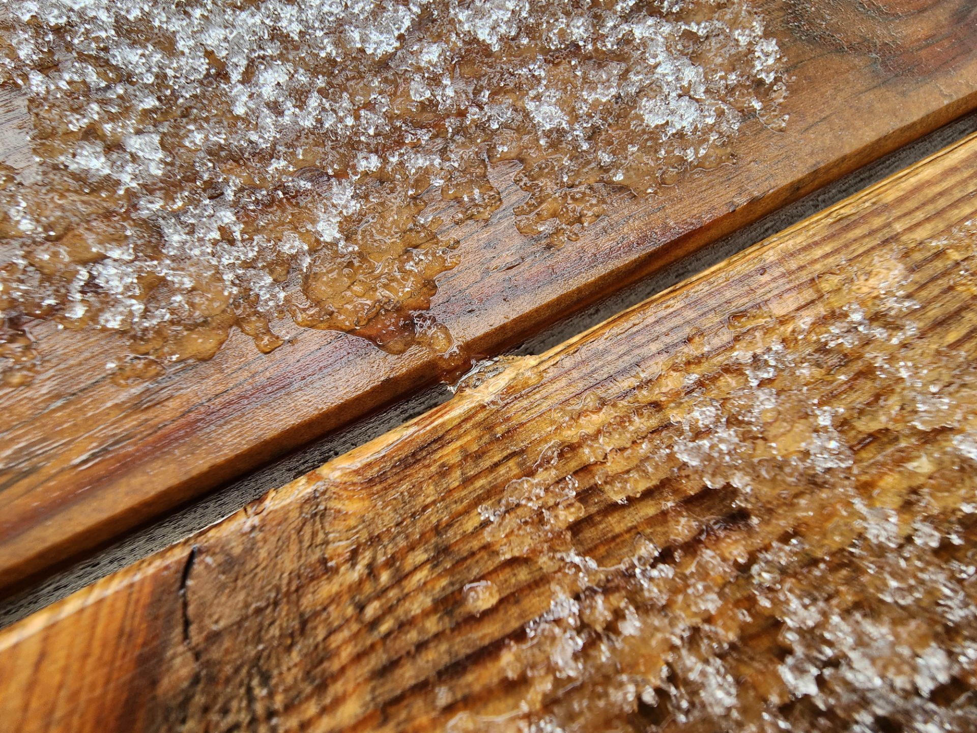 عکس ماکرو گلکسی اس ۲۲ اولترا