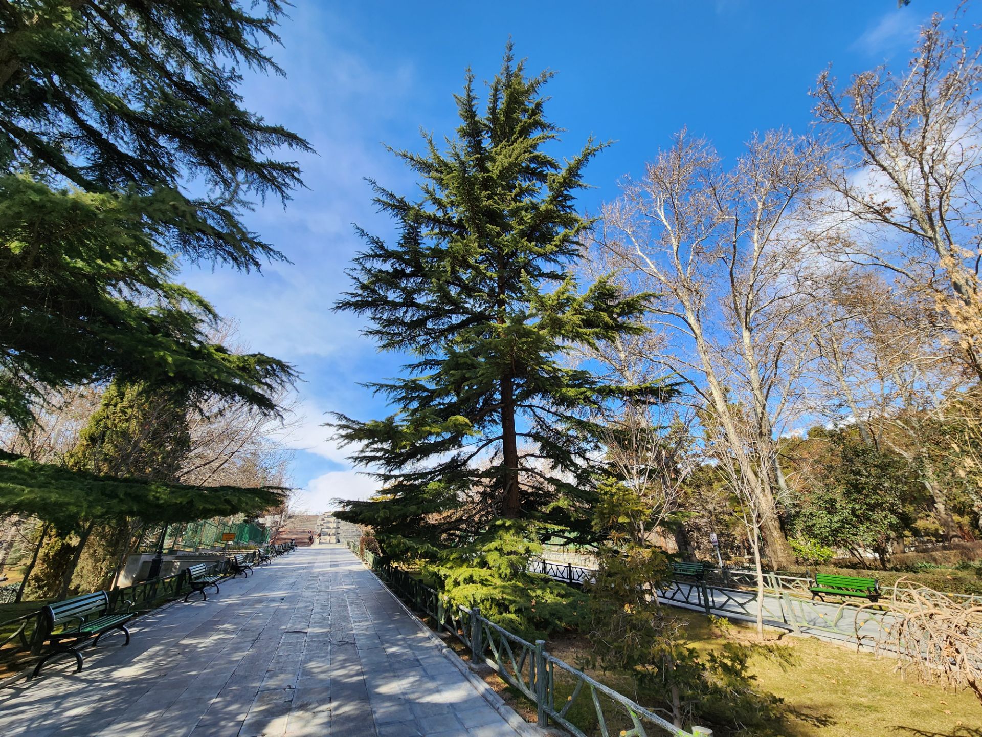 عکس اولتراواید گلکسی اس ۲۲ اولترا