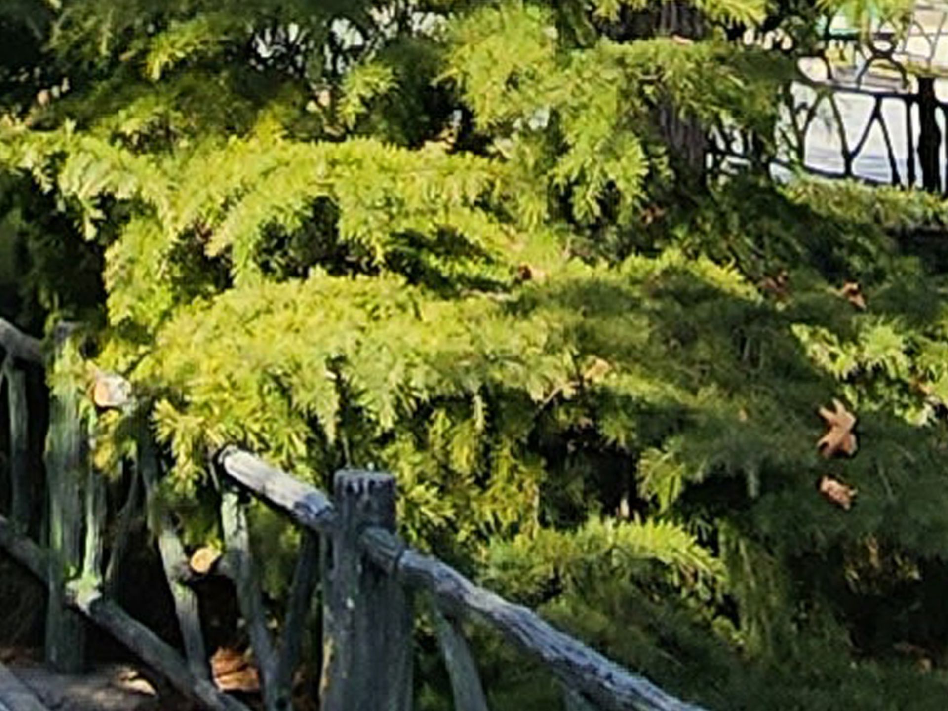 برش عکس اولتراواید گلکسی اس ۲۲ اولترا