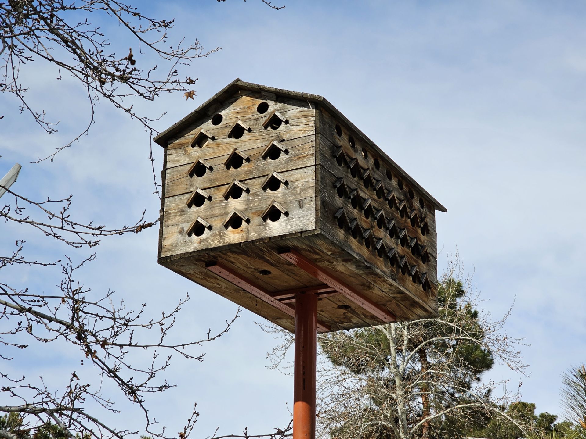 لانه پرنده ۳ برابری گلکسی اس ۲۳ اولترا