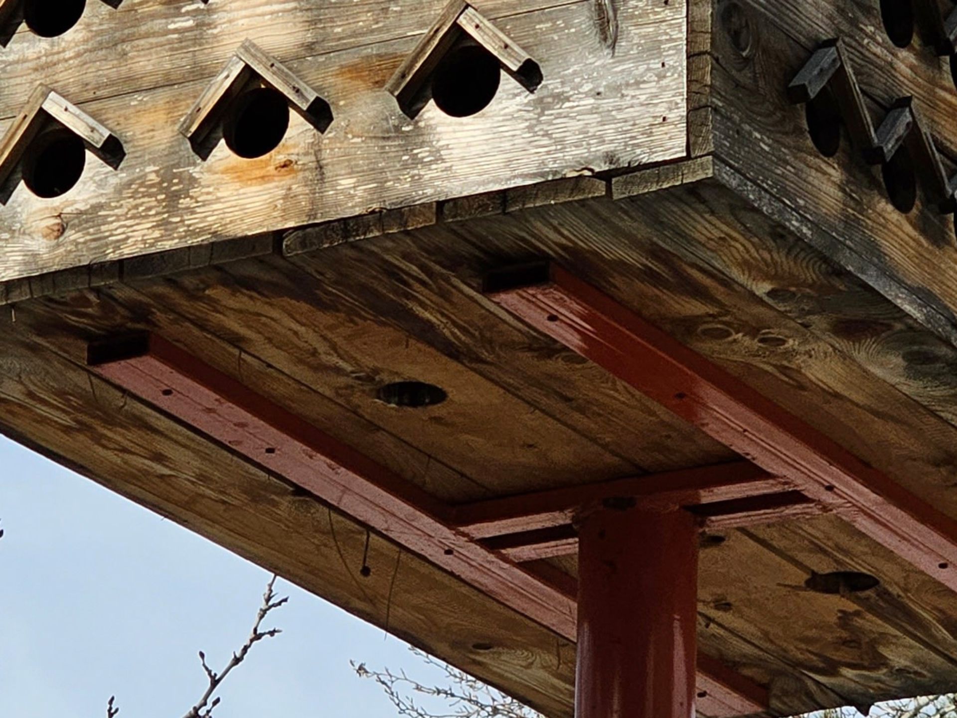 برش عکس ۳ برابری گلکسی اس ۲۳ اولترا