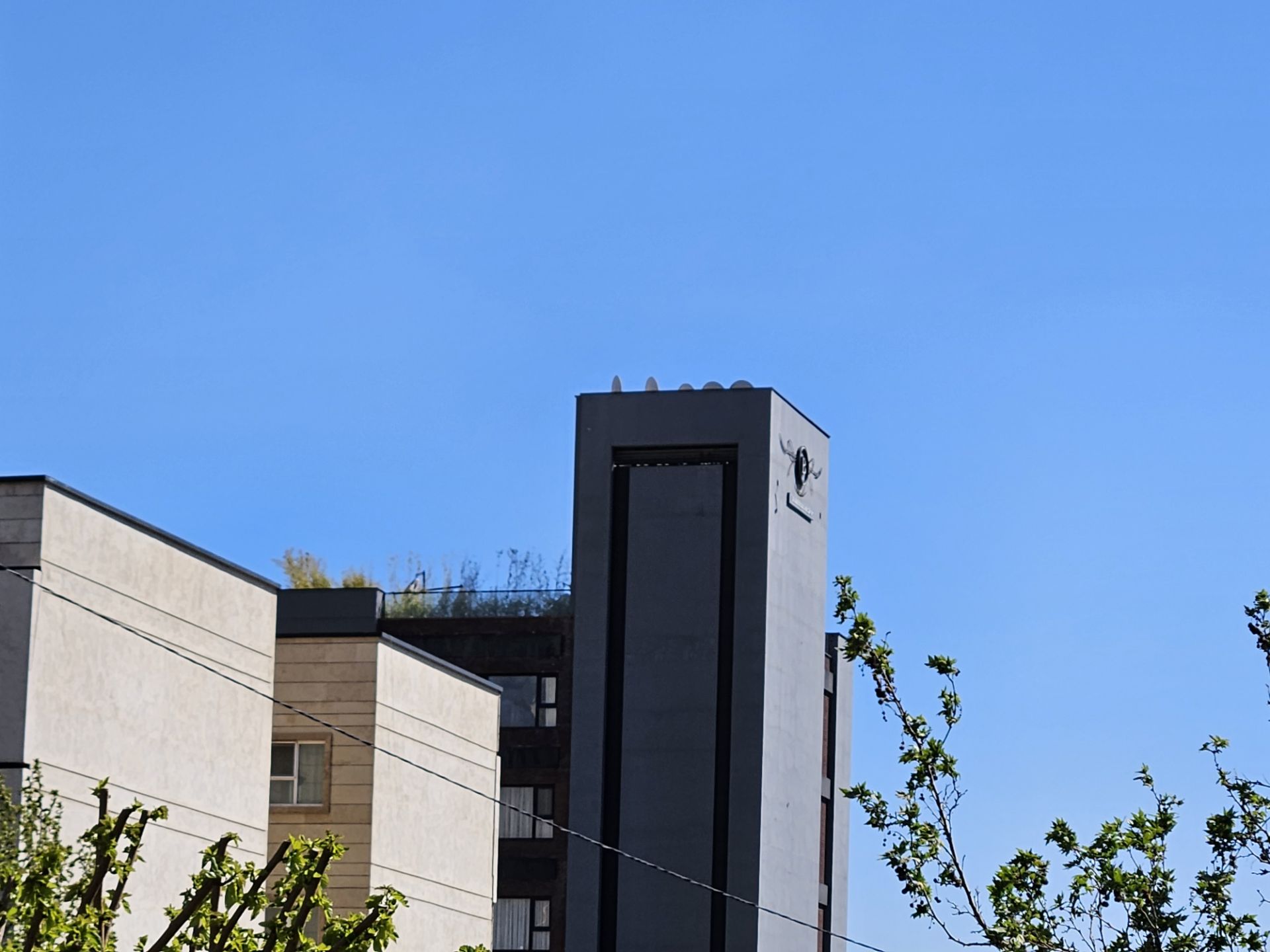 زوم ۵ برابری اس ۲۳