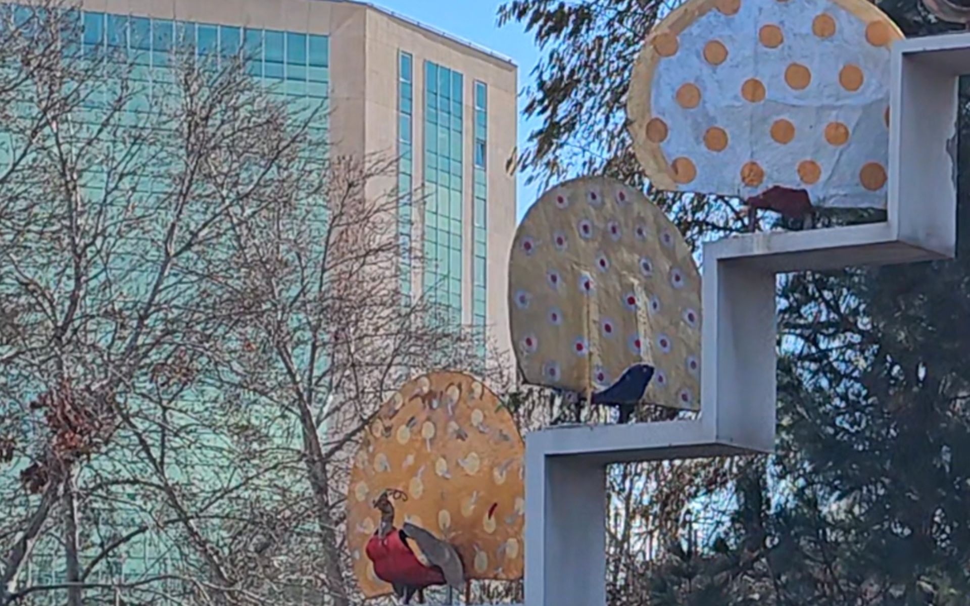 برشی از ویدیوی گلکسی اس ۲۳ اولترا