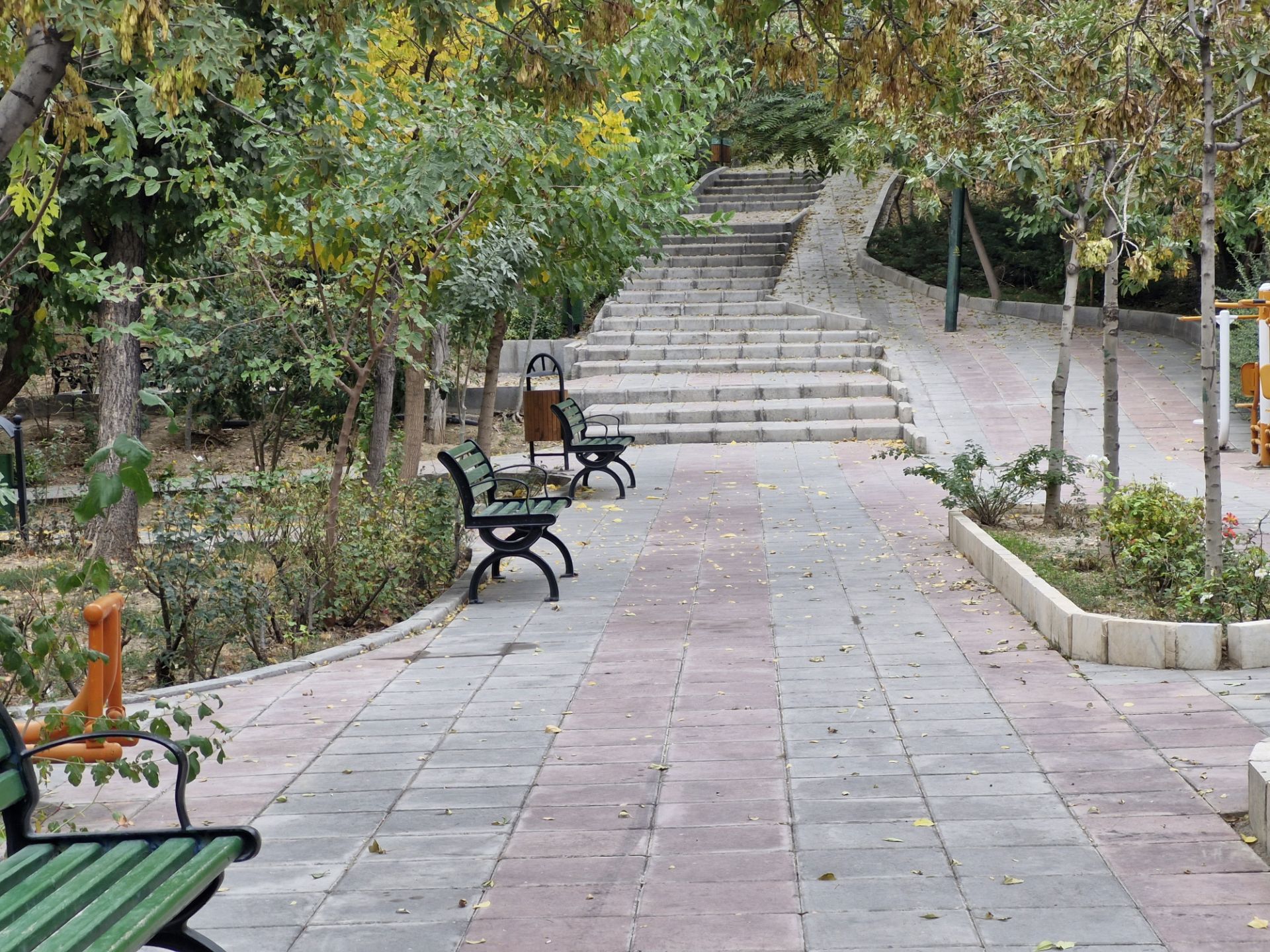 عکس دوربین S23 FE در پارک