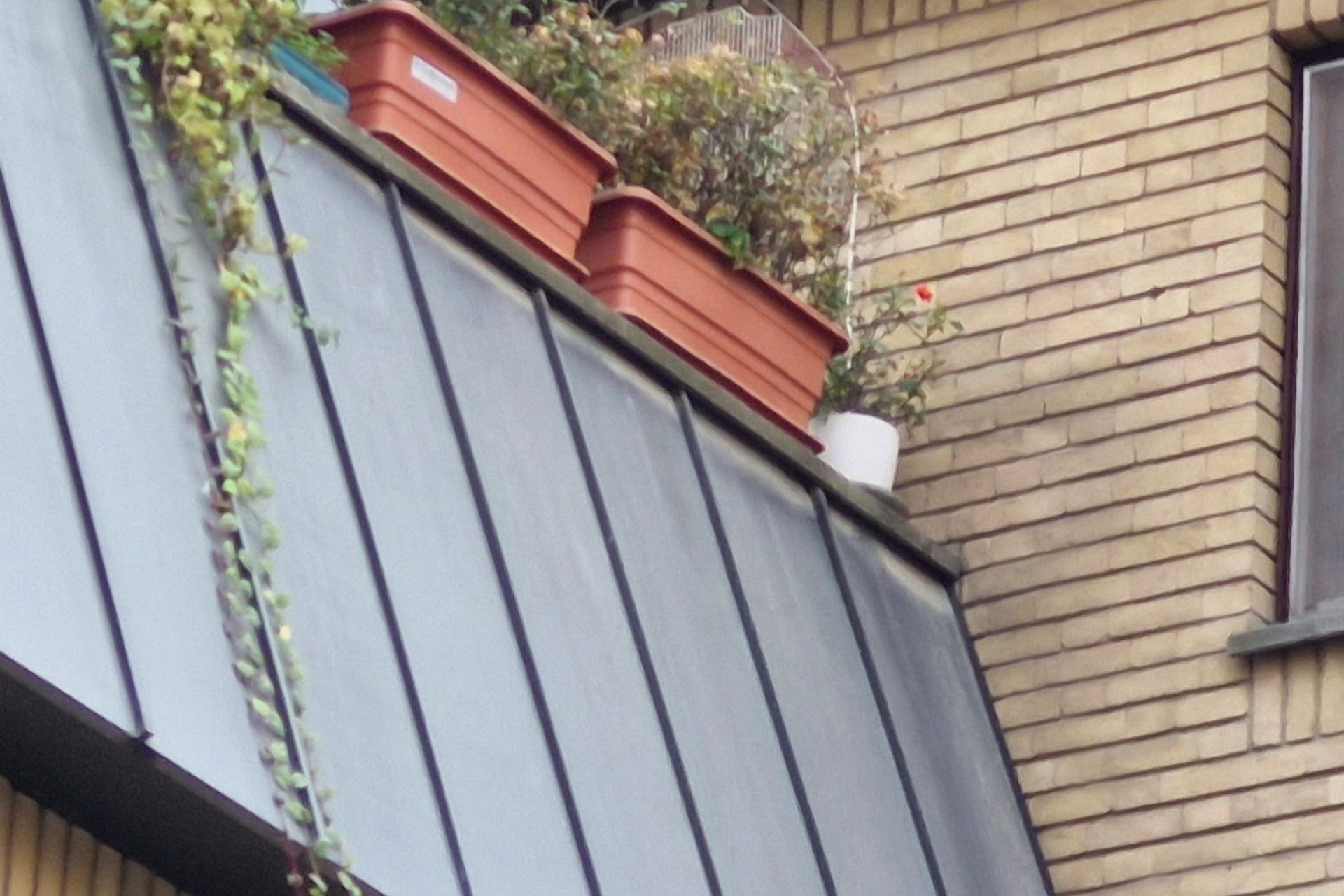 کراپ عکس دوربین تله‌فوتوی S23 FE