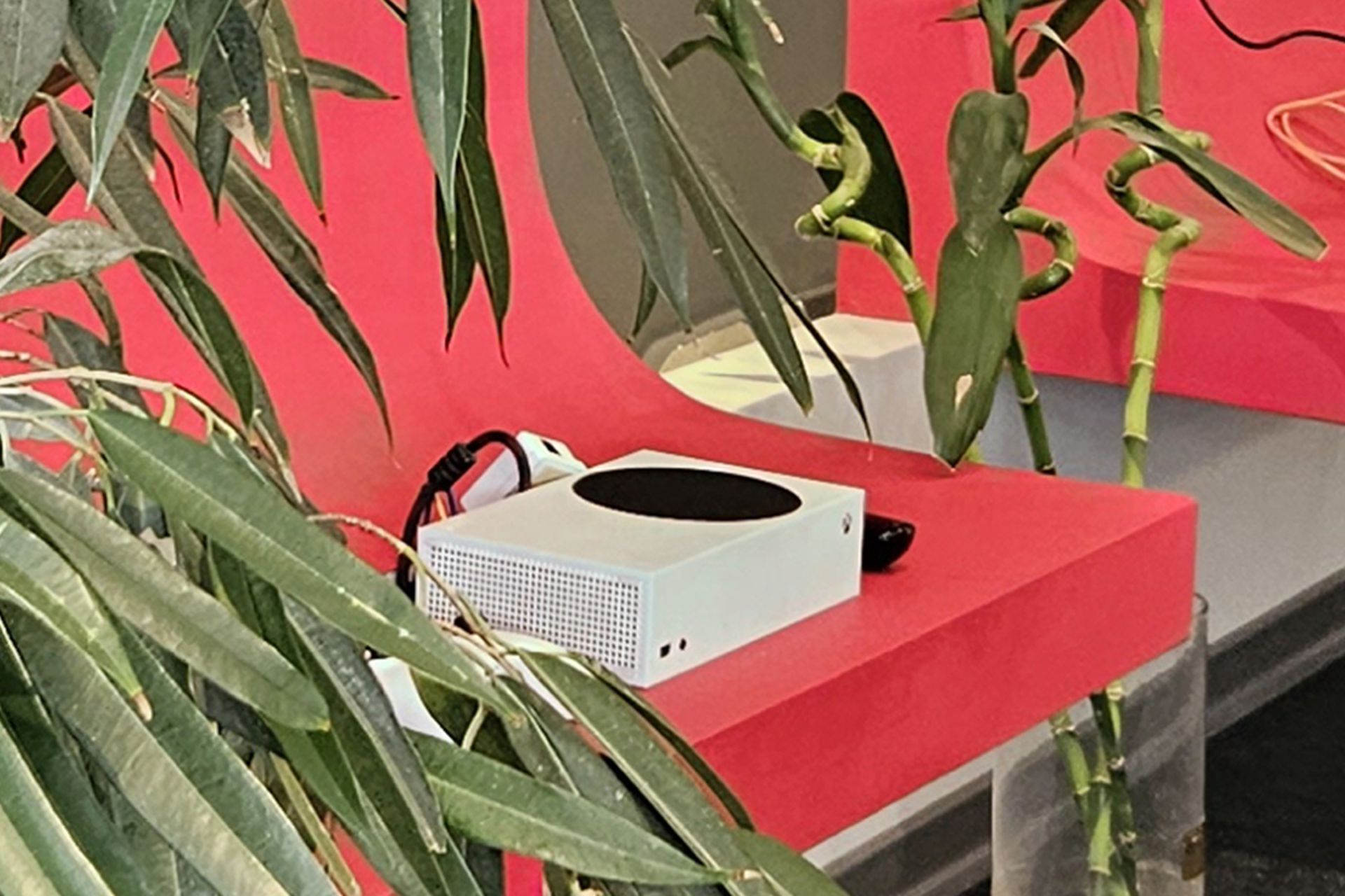 برش دوربین اصلی s23