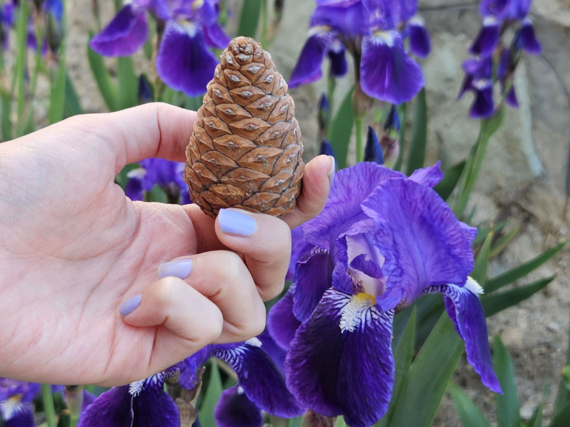 نمونه عکس عکاسی در روز با اس ۲۳