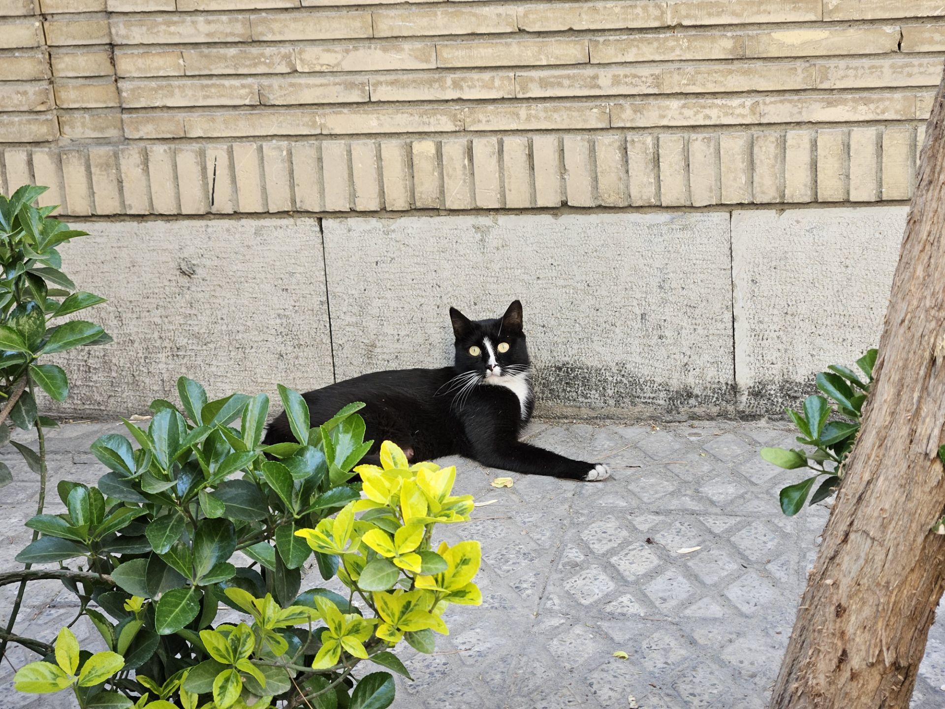 نمونه عکس عکاسی در روز با اس ۲۳