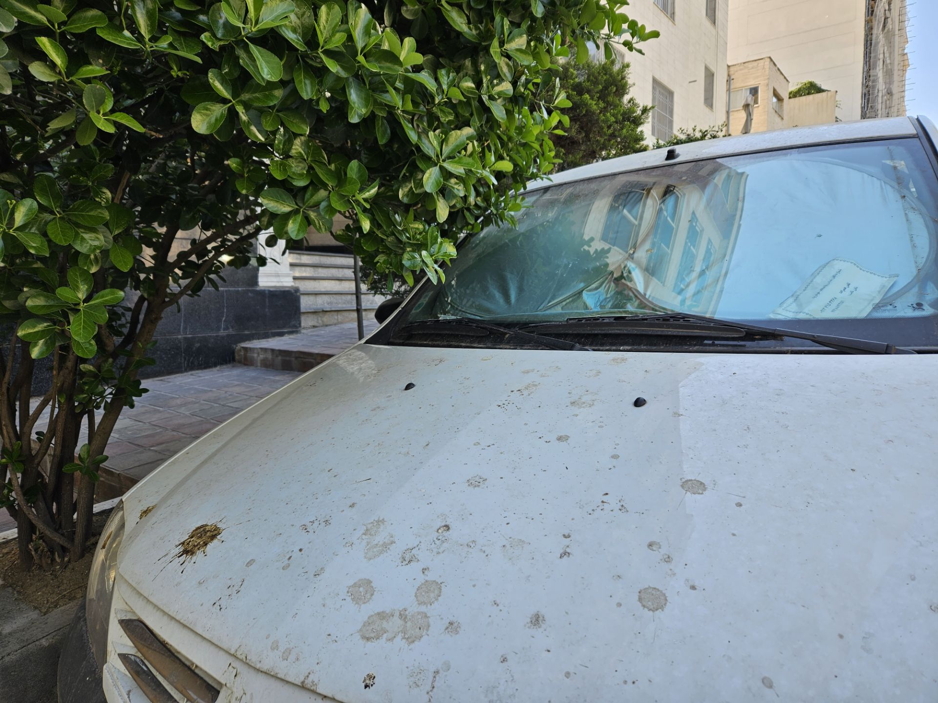 نمونه عکس عکاسی در روز با اس ۲۳