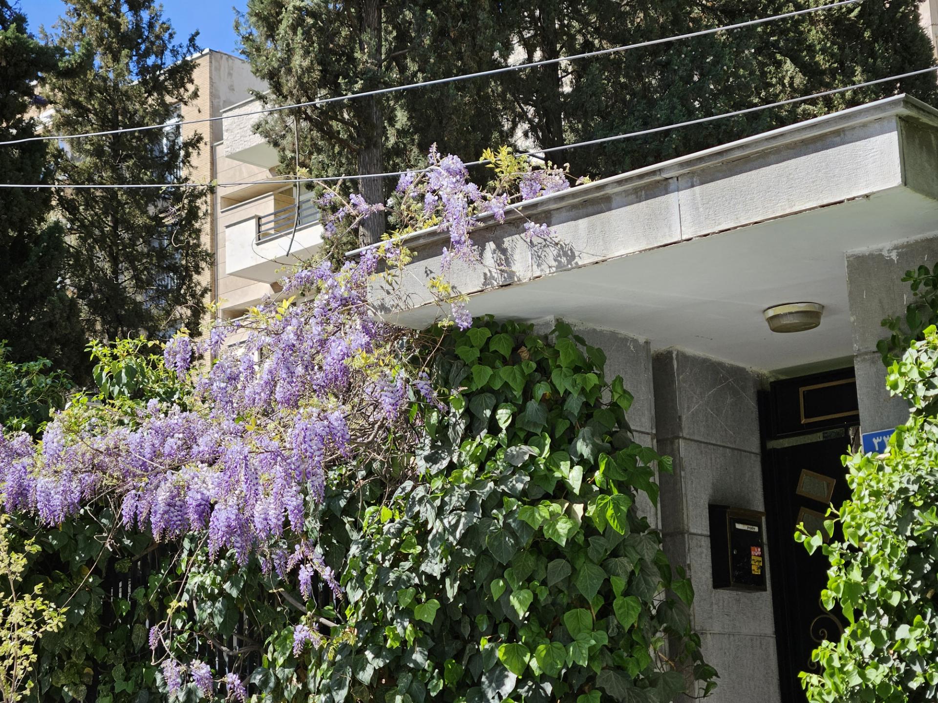نمونه عکس عکاسی در روز با اس ۲۳