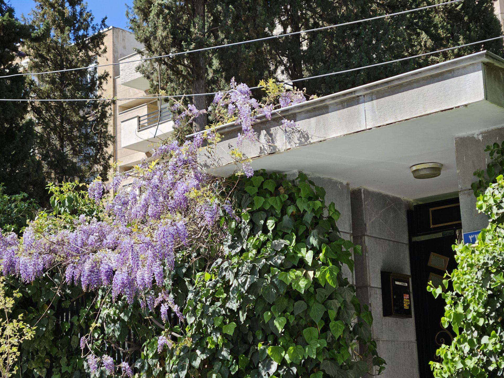 نمونه عکس عکاسی در روز با اس ۲۳