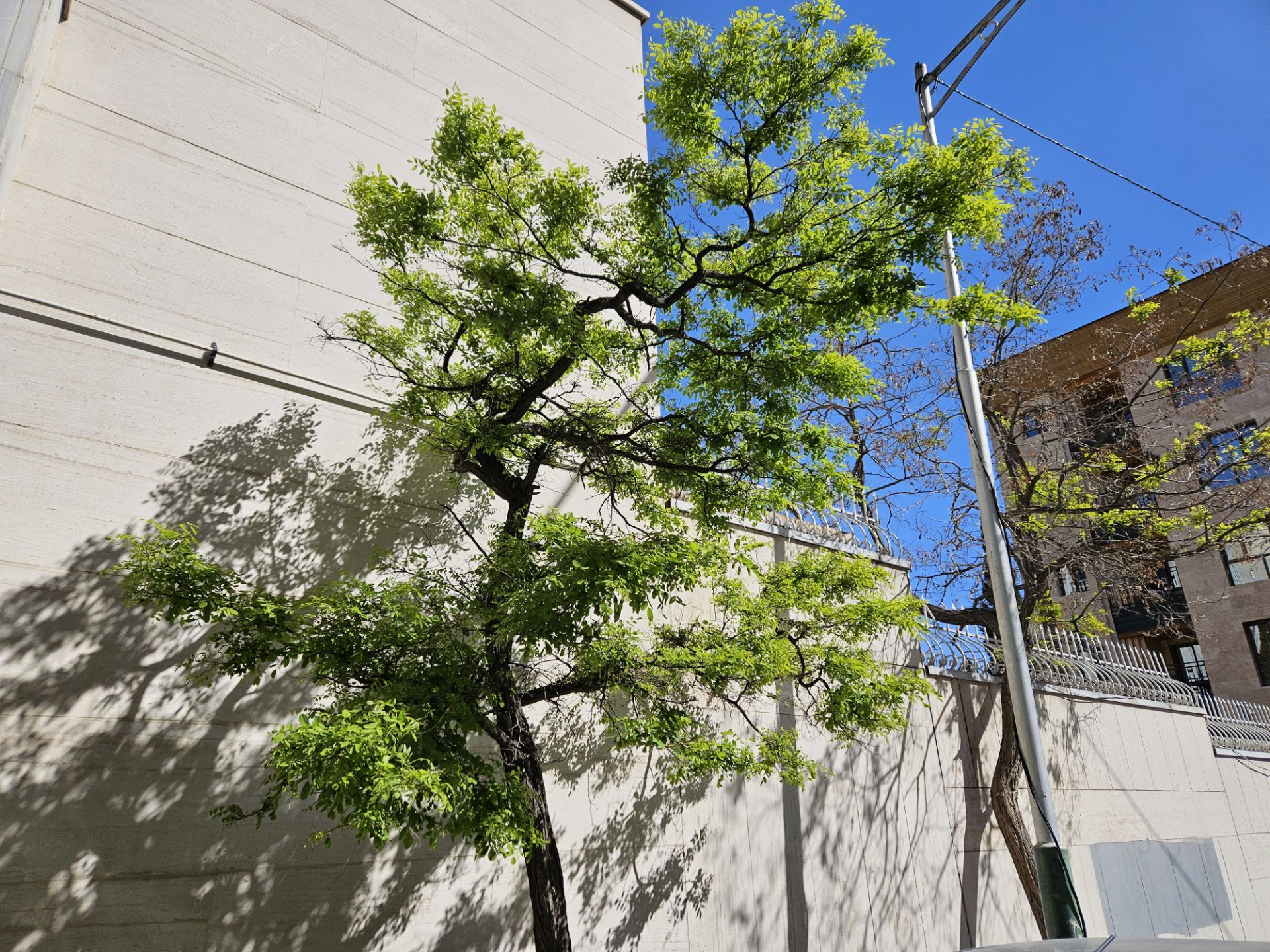 نمونه عکس عکاسی در روز با اس ۲۳