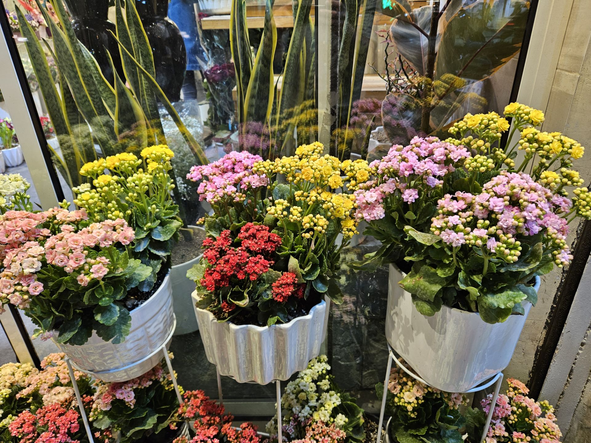 نمونه عکس دوربین اصلی اس ۲۳ در شب