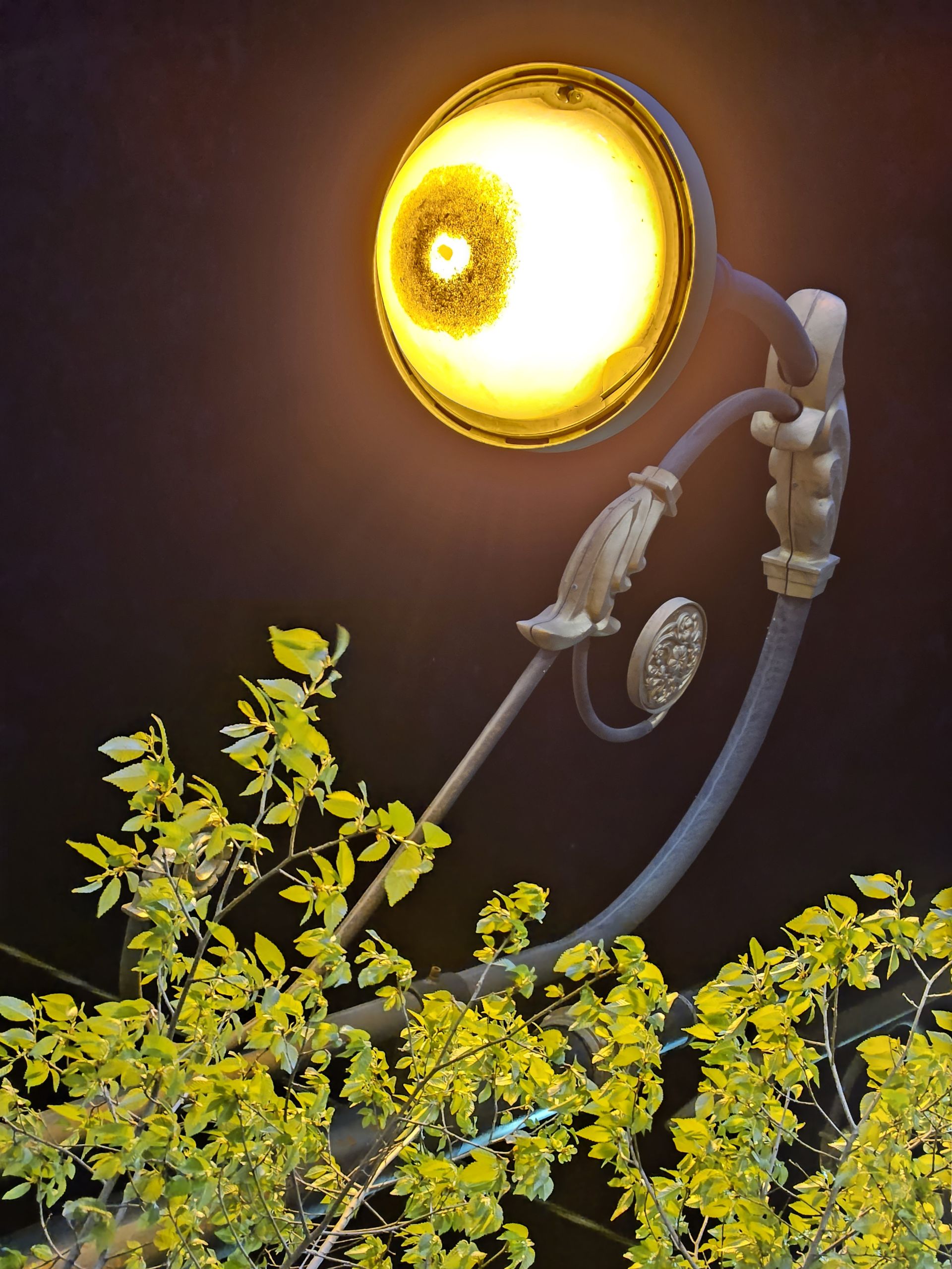 نمونه عکس دوربین اصلی اس ۲۳ در شب