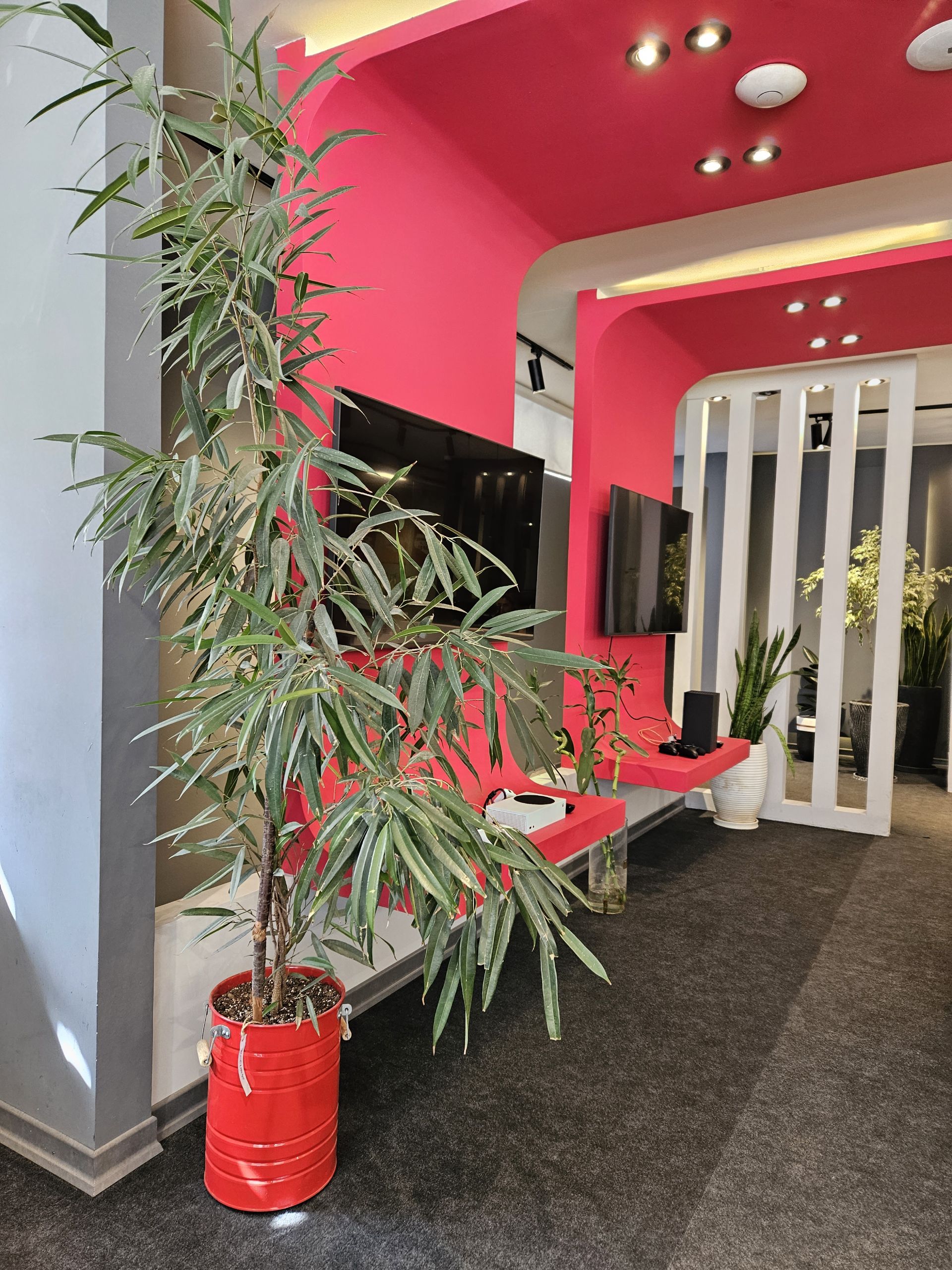 نمونه عکس با دوربین اصلی گلکسی اس ۲۳ سامسونگ