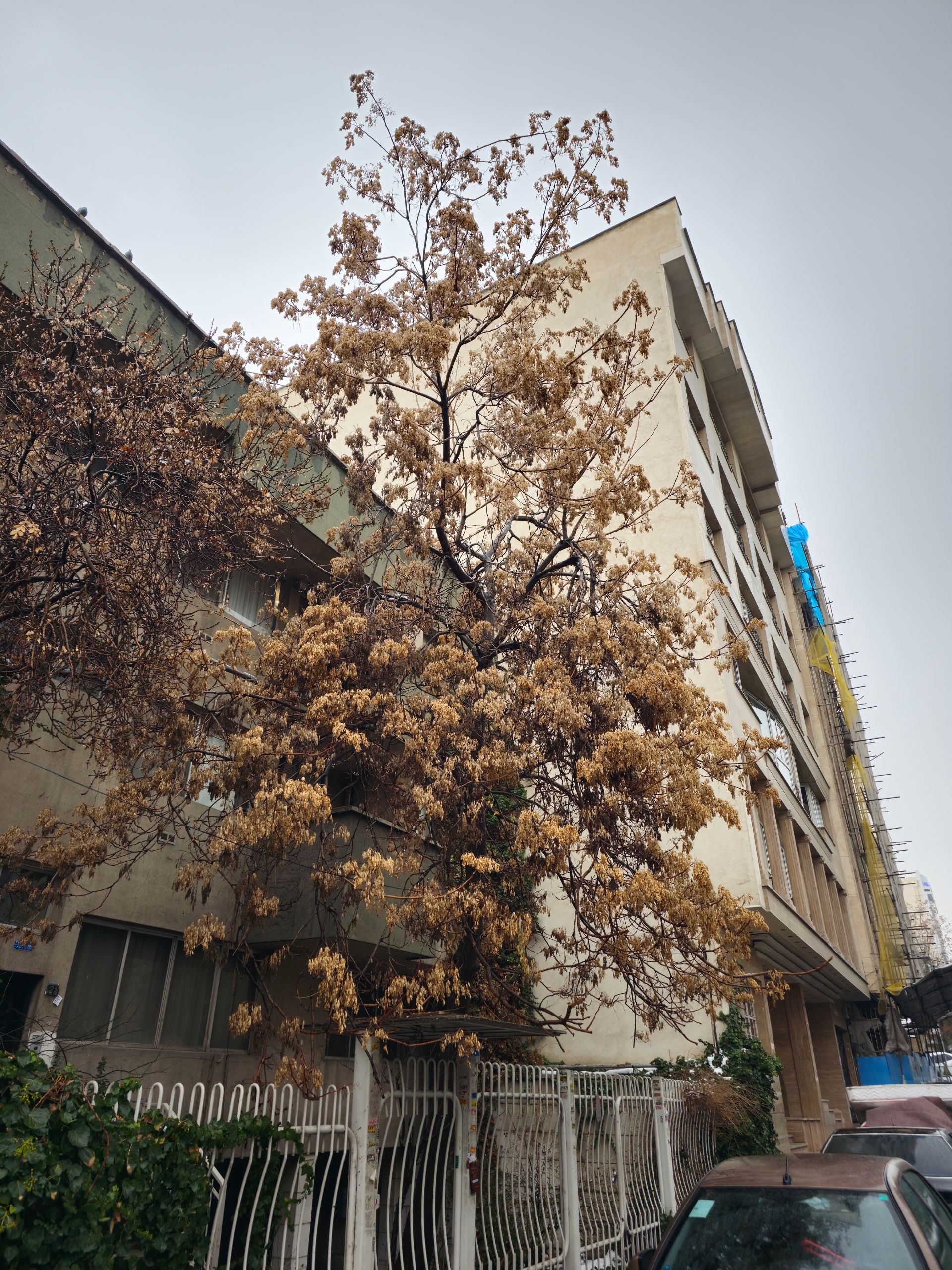 عکس ۲۰۰ مگاپیکسلی گلکسی اس ۲۳ اولترا در مقیاس ۱۲ مگاپیکسل