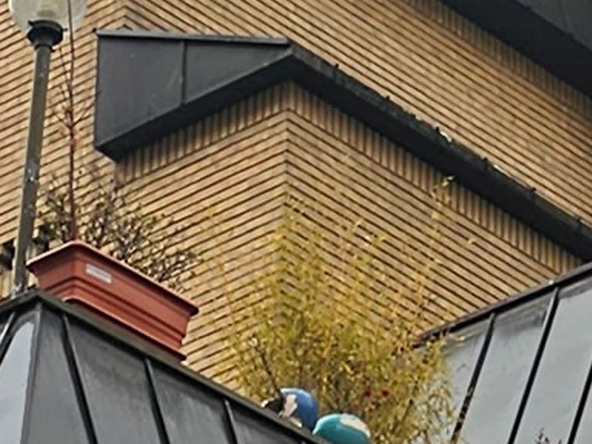 کراپ عکس دوربین اصلی گلکسی اس ۲۳ ‍۱