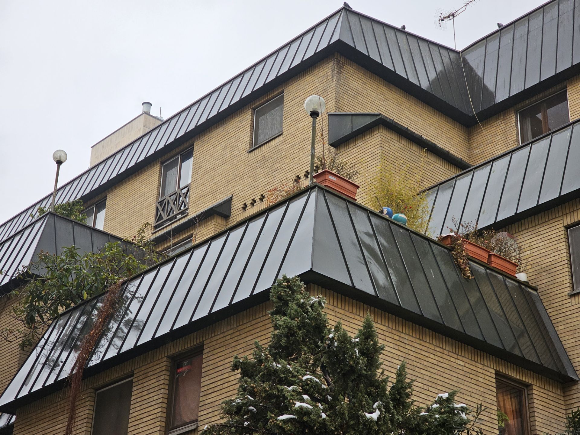 عکس تله‌فوتوی گلکسی اس ۲۳ اولترا