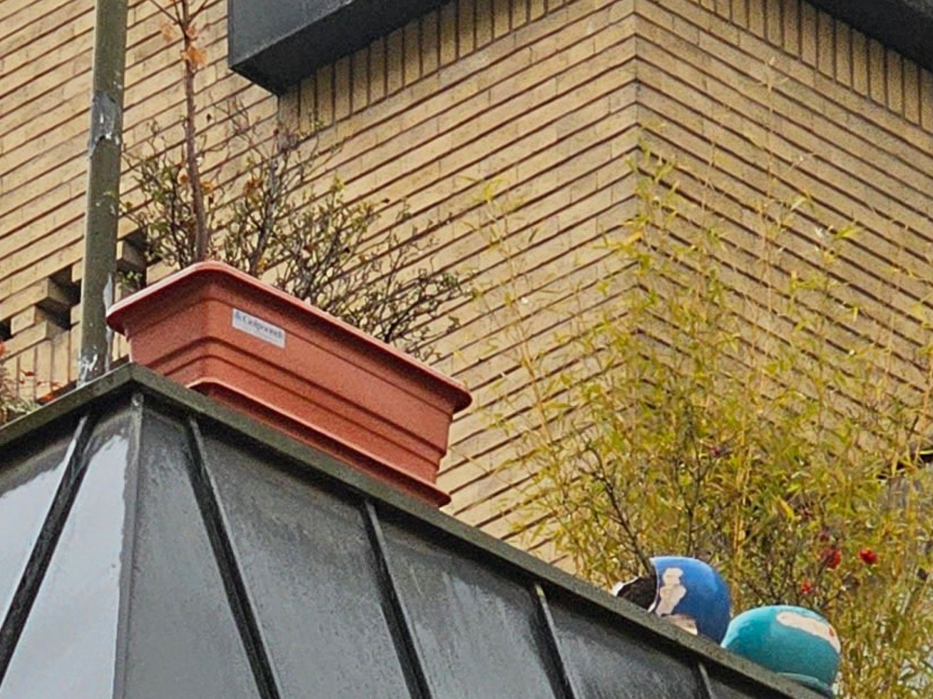 برش عکس تله‌فوتوی گلکسی اس ۲۳ اولترا ۱