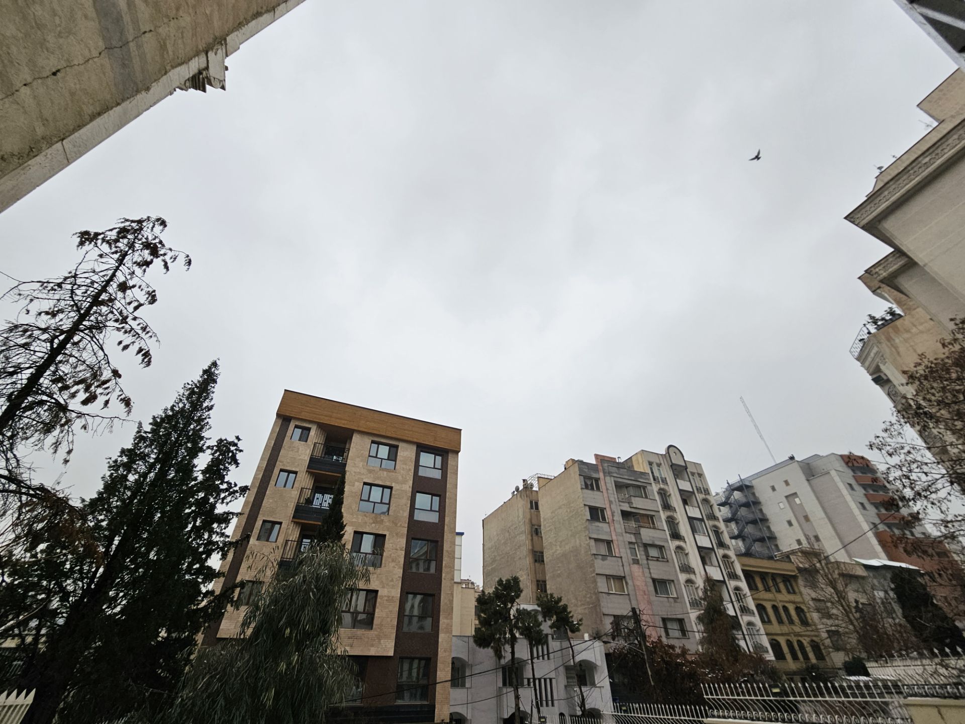 عکس اولتراواید گلکسی اس ۲۳ اولترا ۱