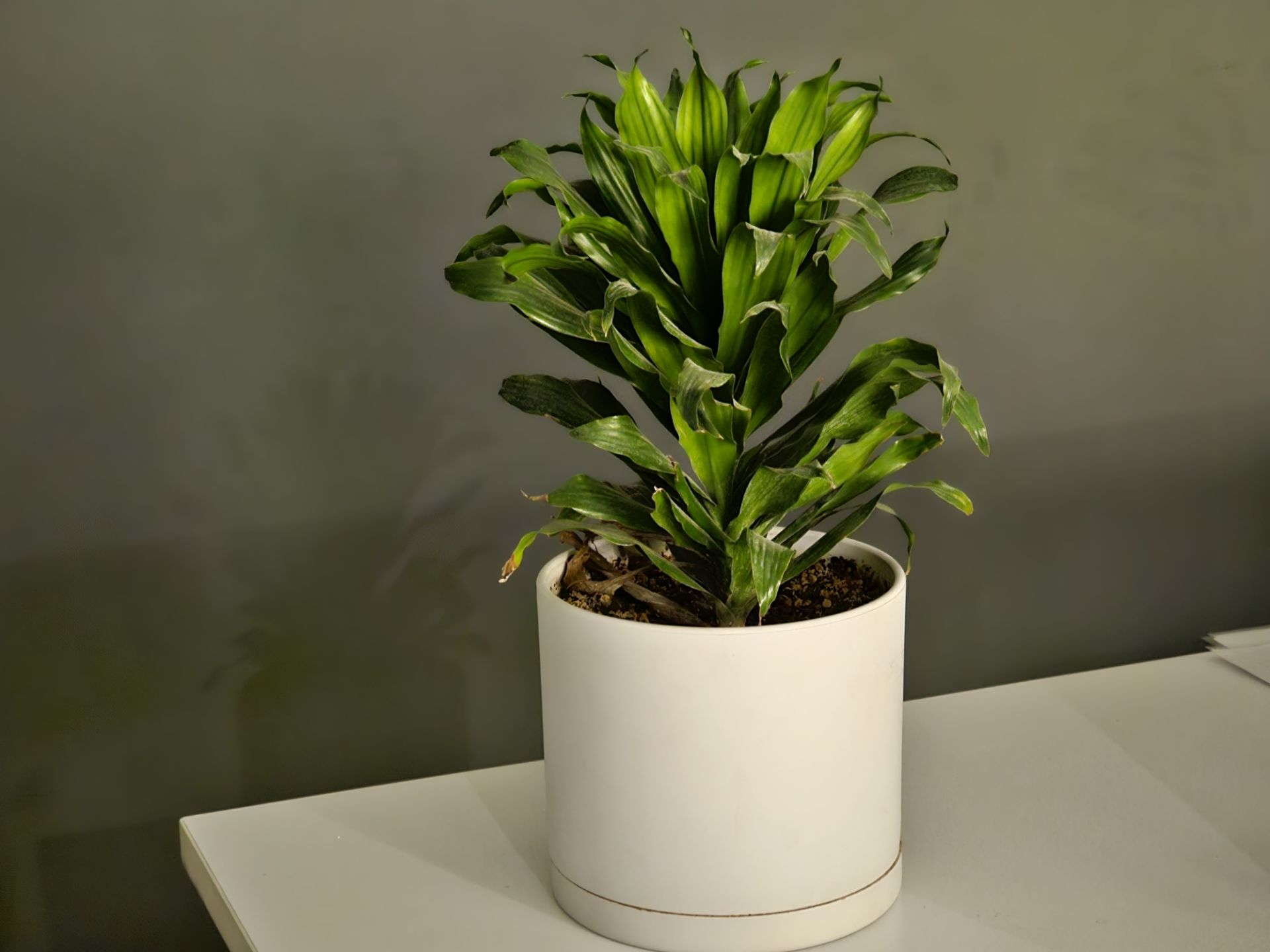 عکس ۳ برابری گلکسی اس ۲۳ اولترا در تاریکی ۳