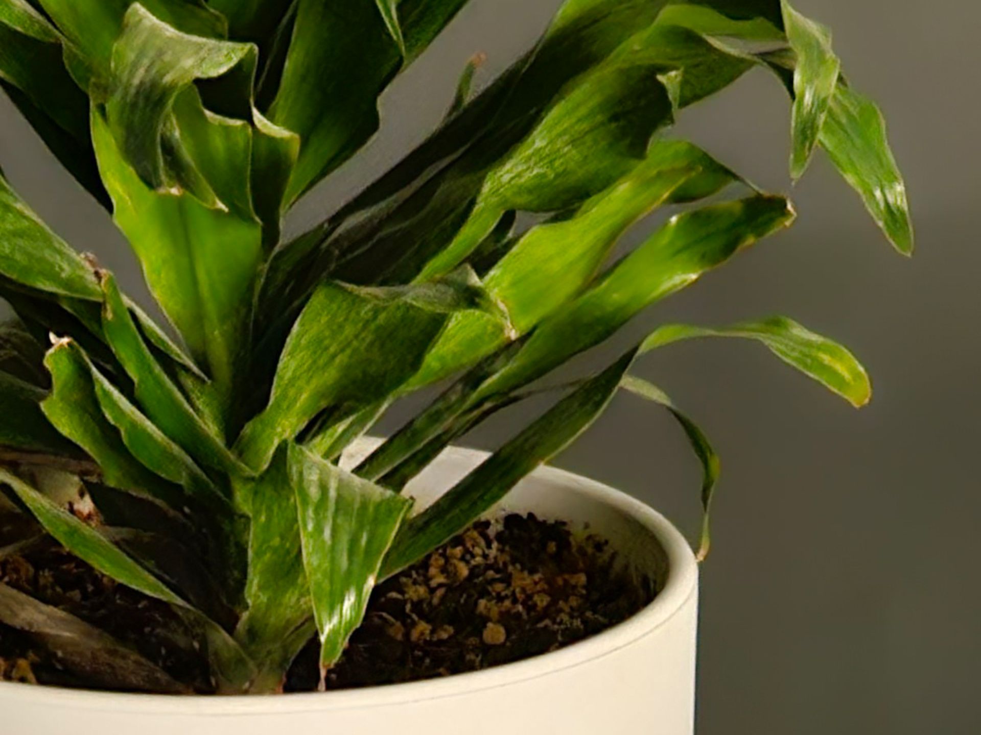 برش عکس ۳ برابری گلکسی اس ۲۳ اولترا در تاریکی ۳