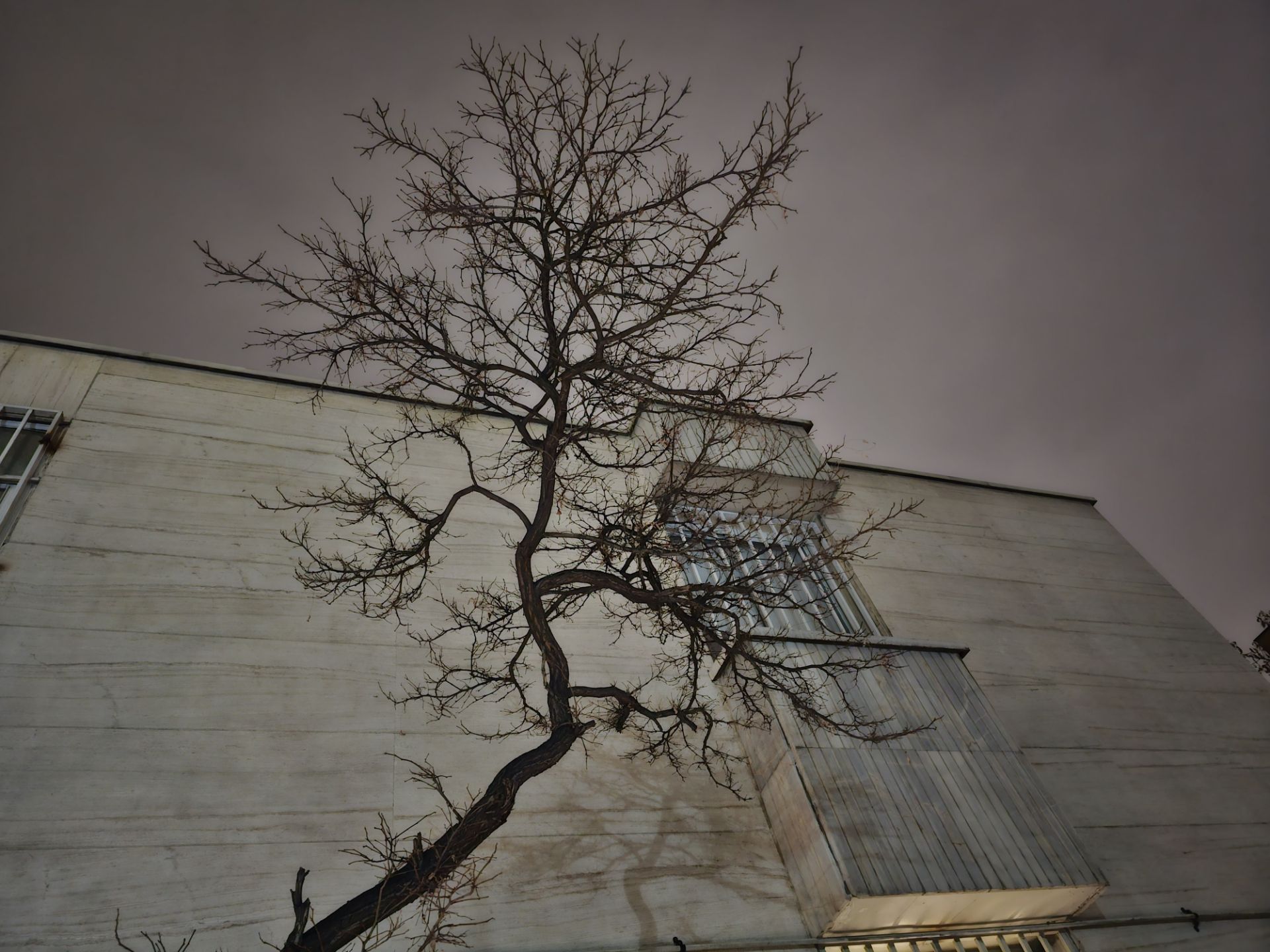 عکس دوربین اصلی گلکسی اس ۲۳ اولترا در تاریکی ۲