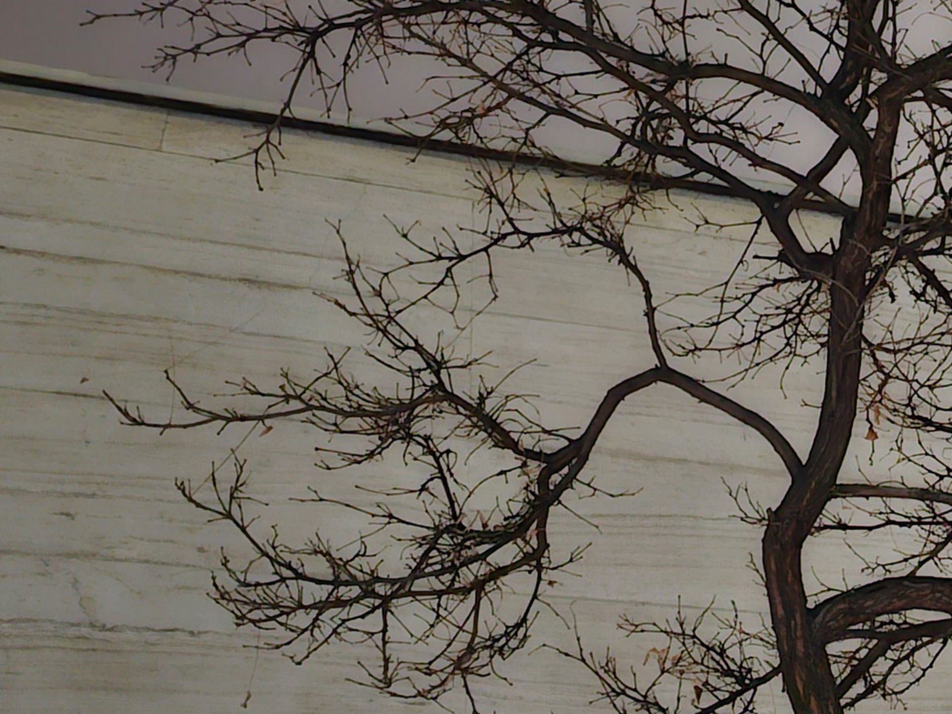 برش عکس گلکسی اس ۲۳ اولترا در تاریکی ۲