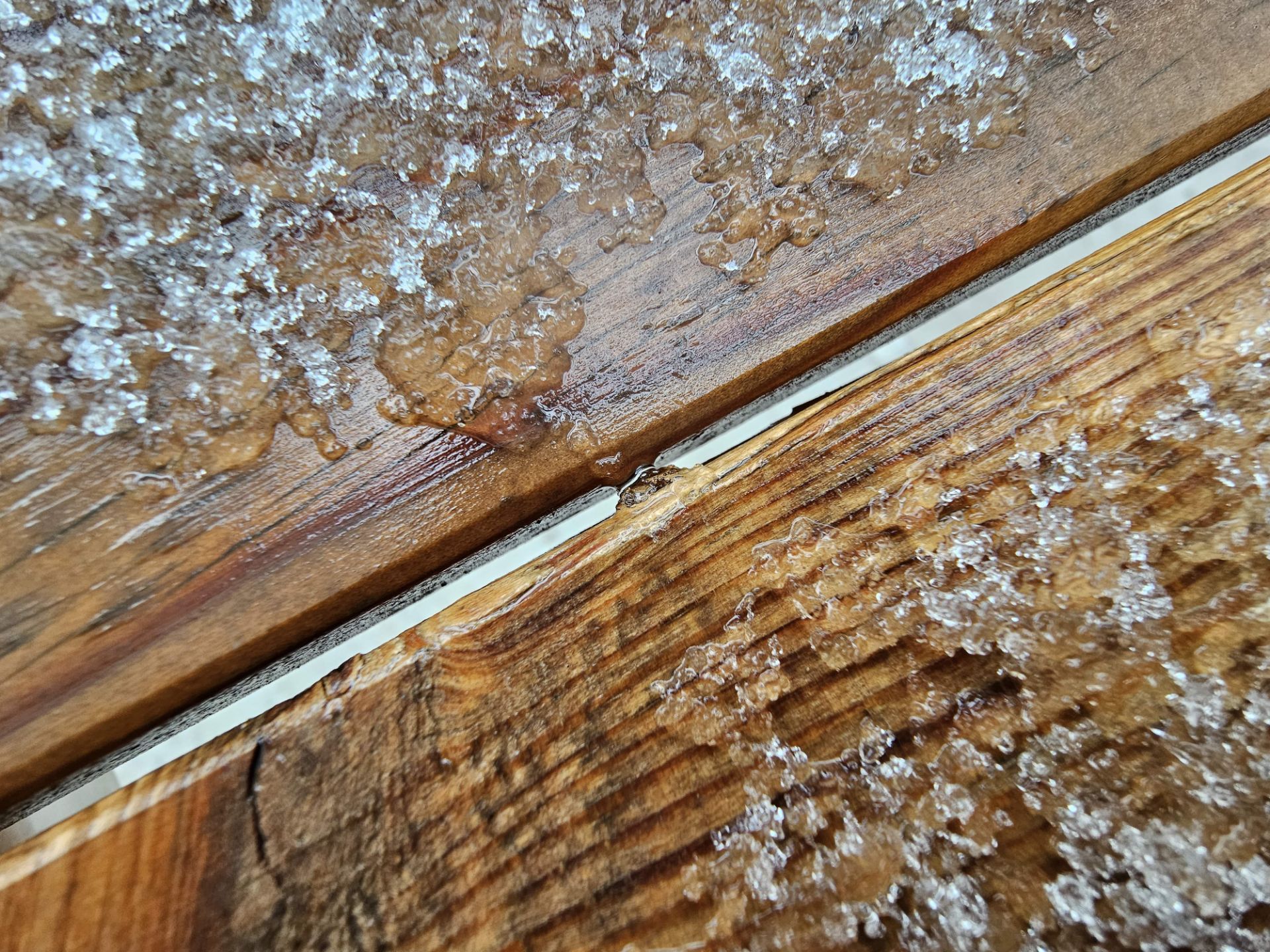 عکس ماکرو گلکسی اس ۲۳ اولترا