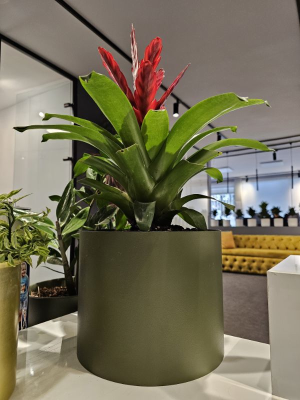 Vase in Zomit office 2