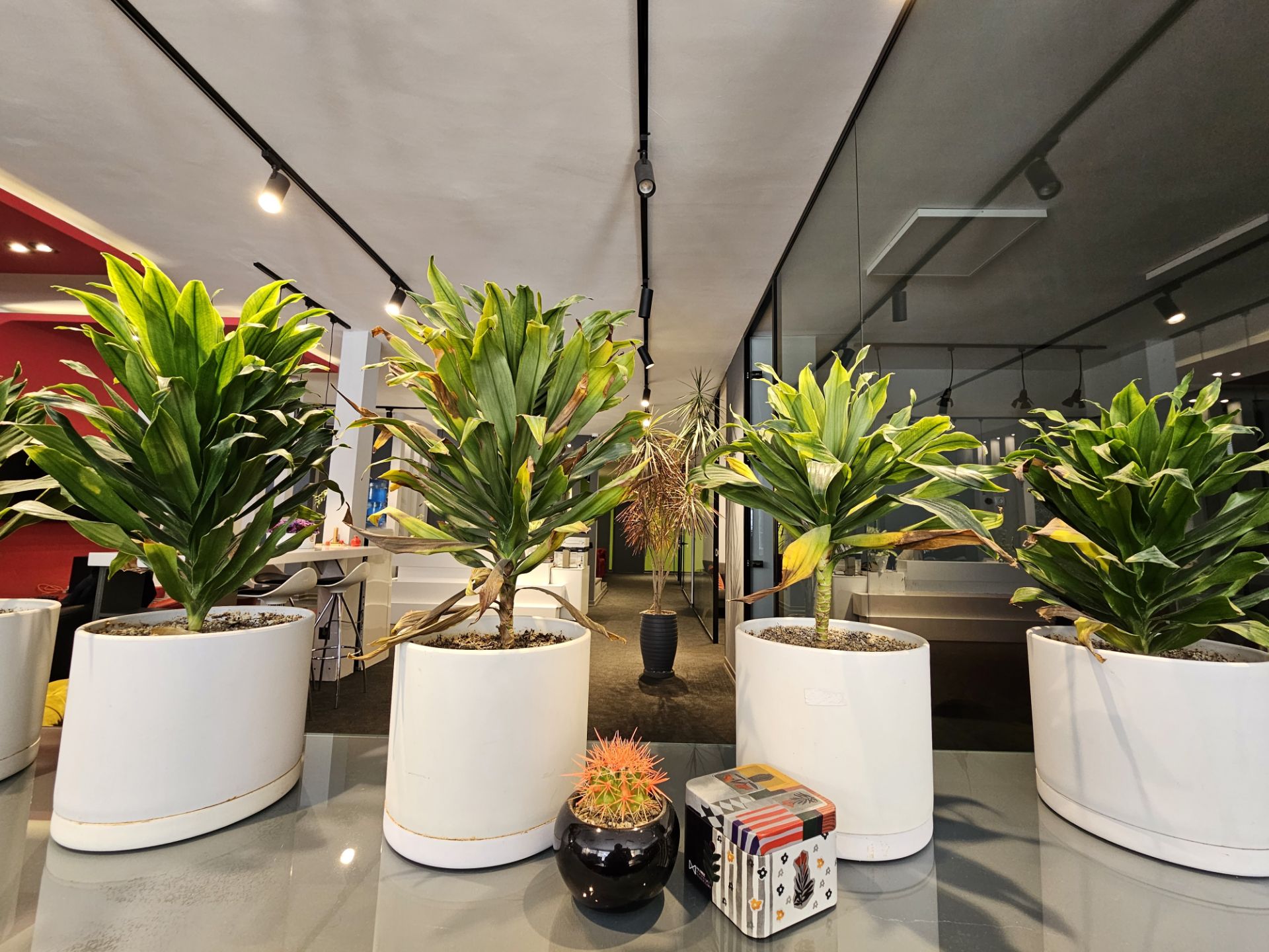 نمونه عکس عکاسی در روز با اس ۲۳