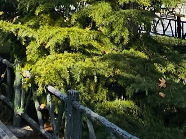 برش عکس اولتراواید گلکسی اس ۲۳ اولترا