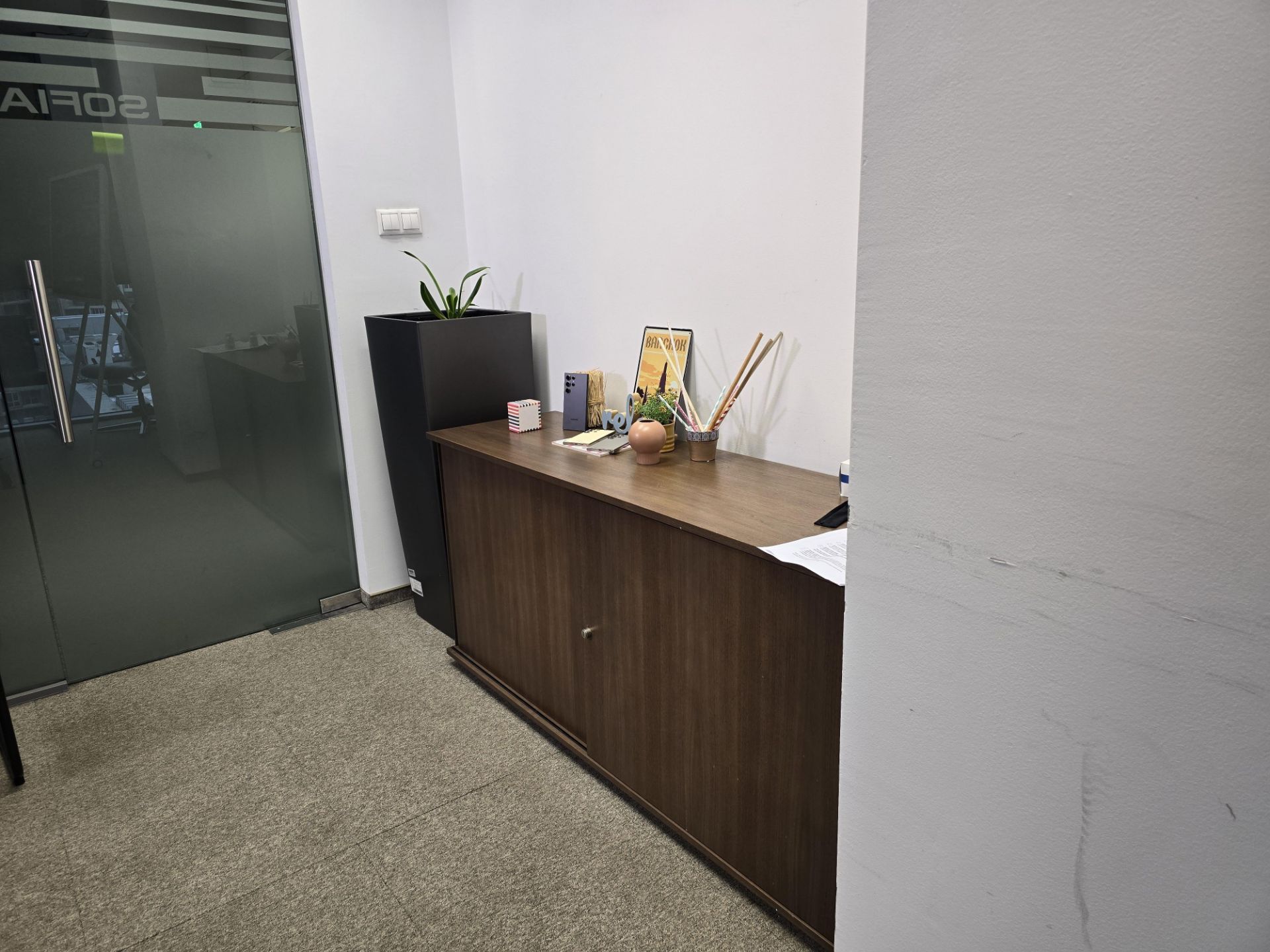 نمونه عکس گلکسی S24 اولترا با زوم یک برابر