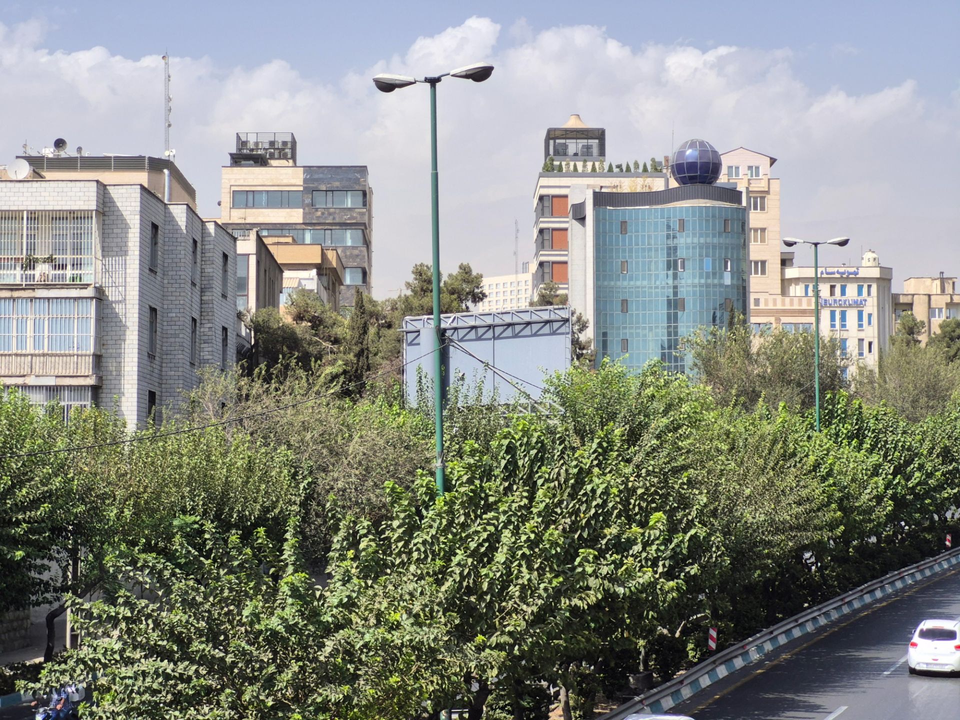 درخت های اتوبان