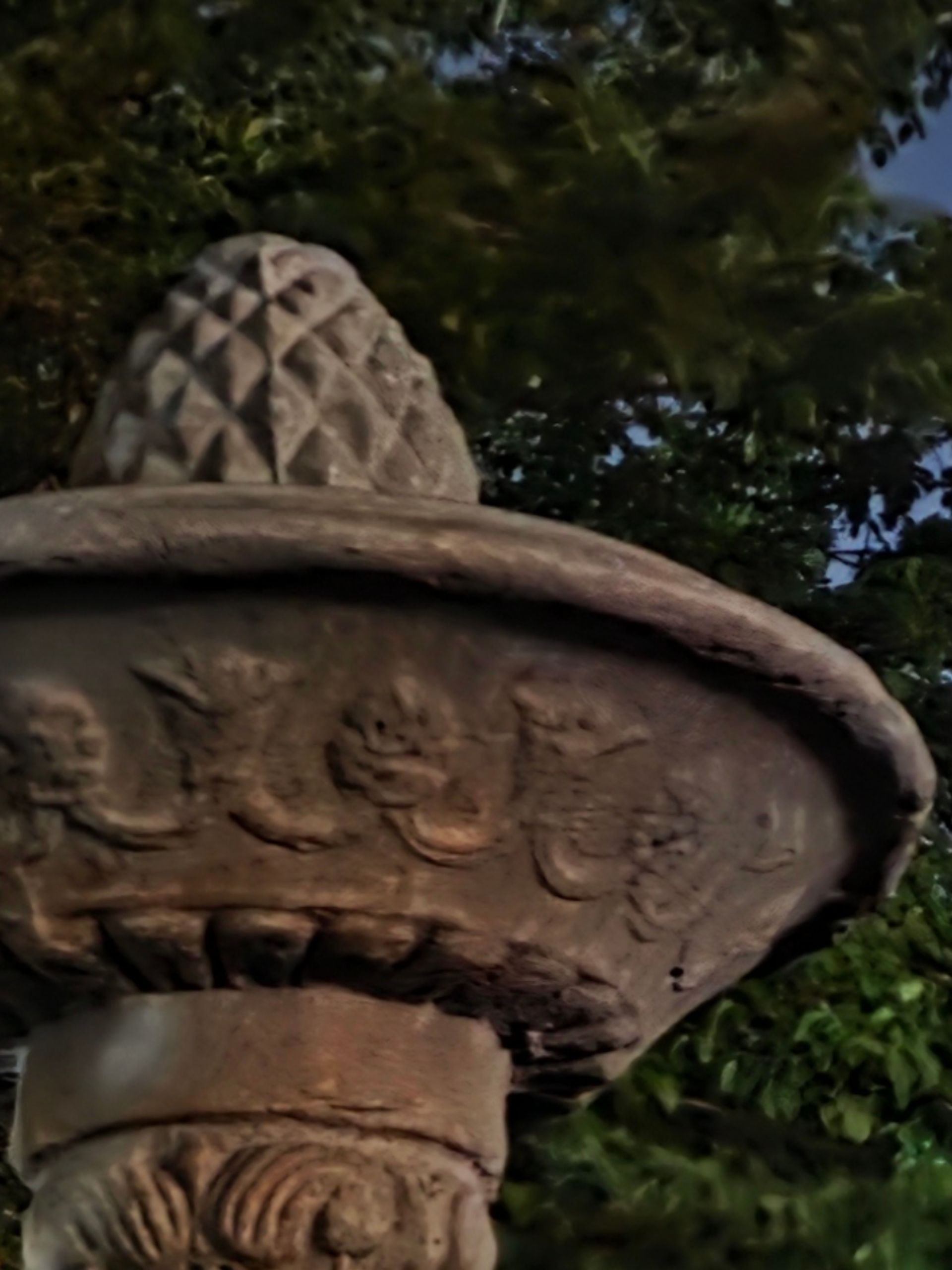 کراپ دوربین اصلی S25 اولترا در تاریکی